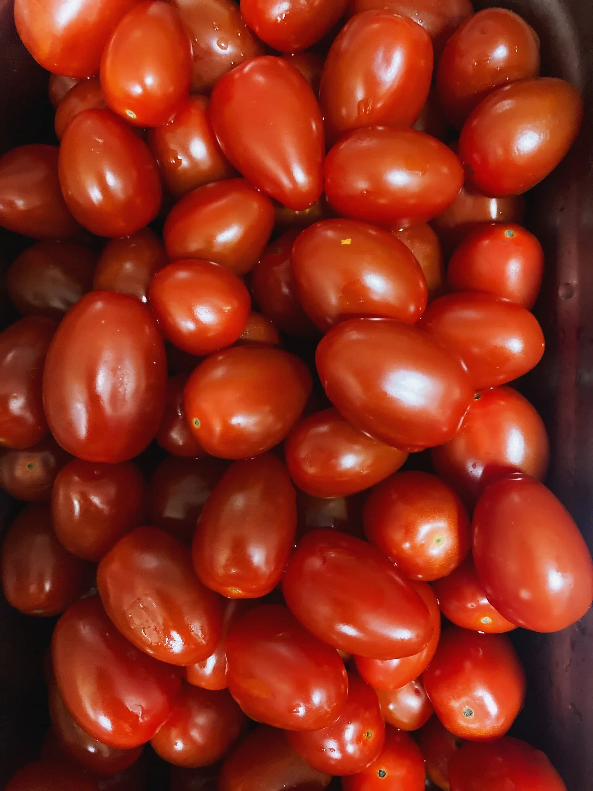 IMG_4776_resized (1).jpg