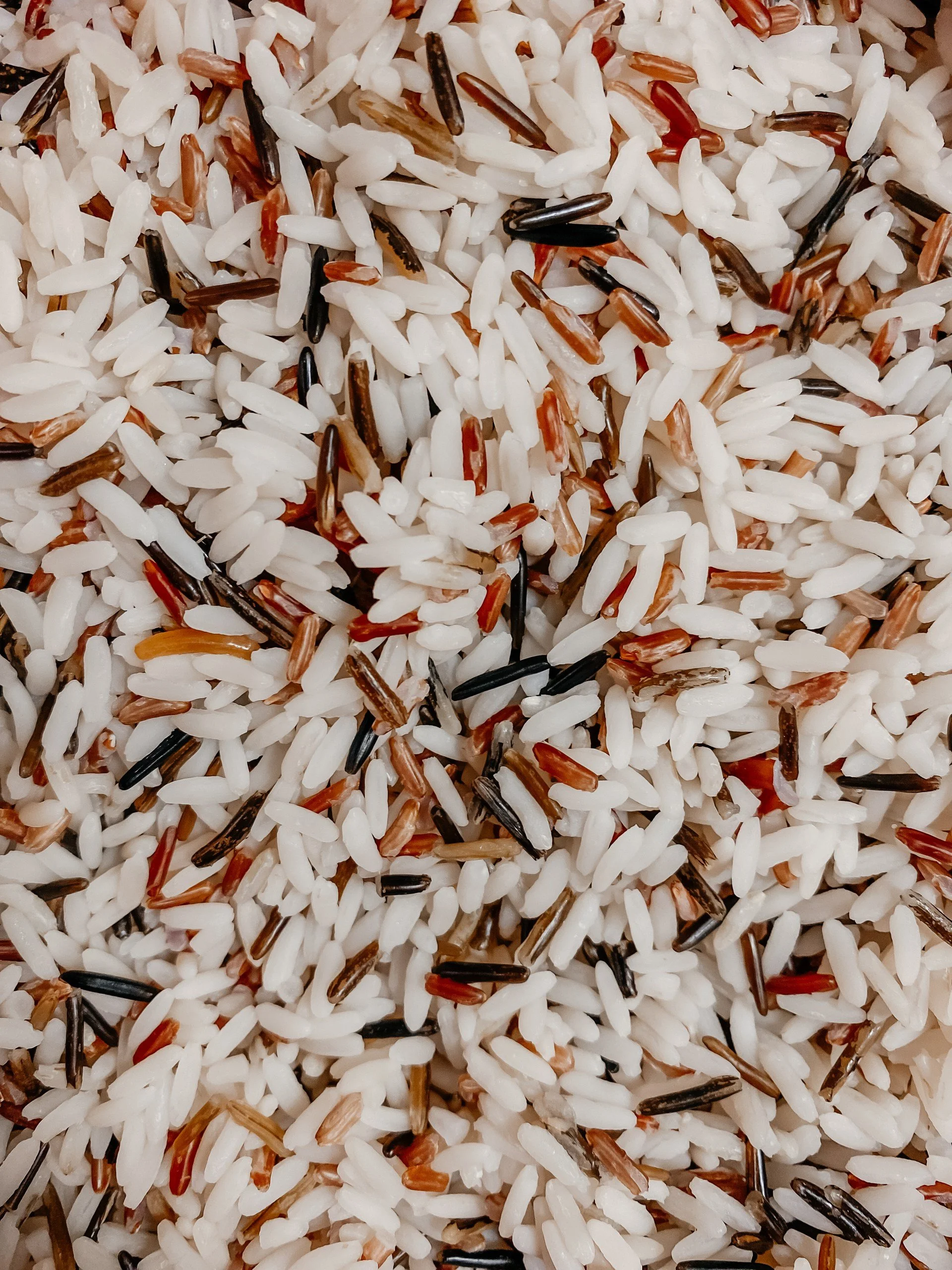 Close-up of a mixture of different types of rice grains, including white, red, black, and brown rice.