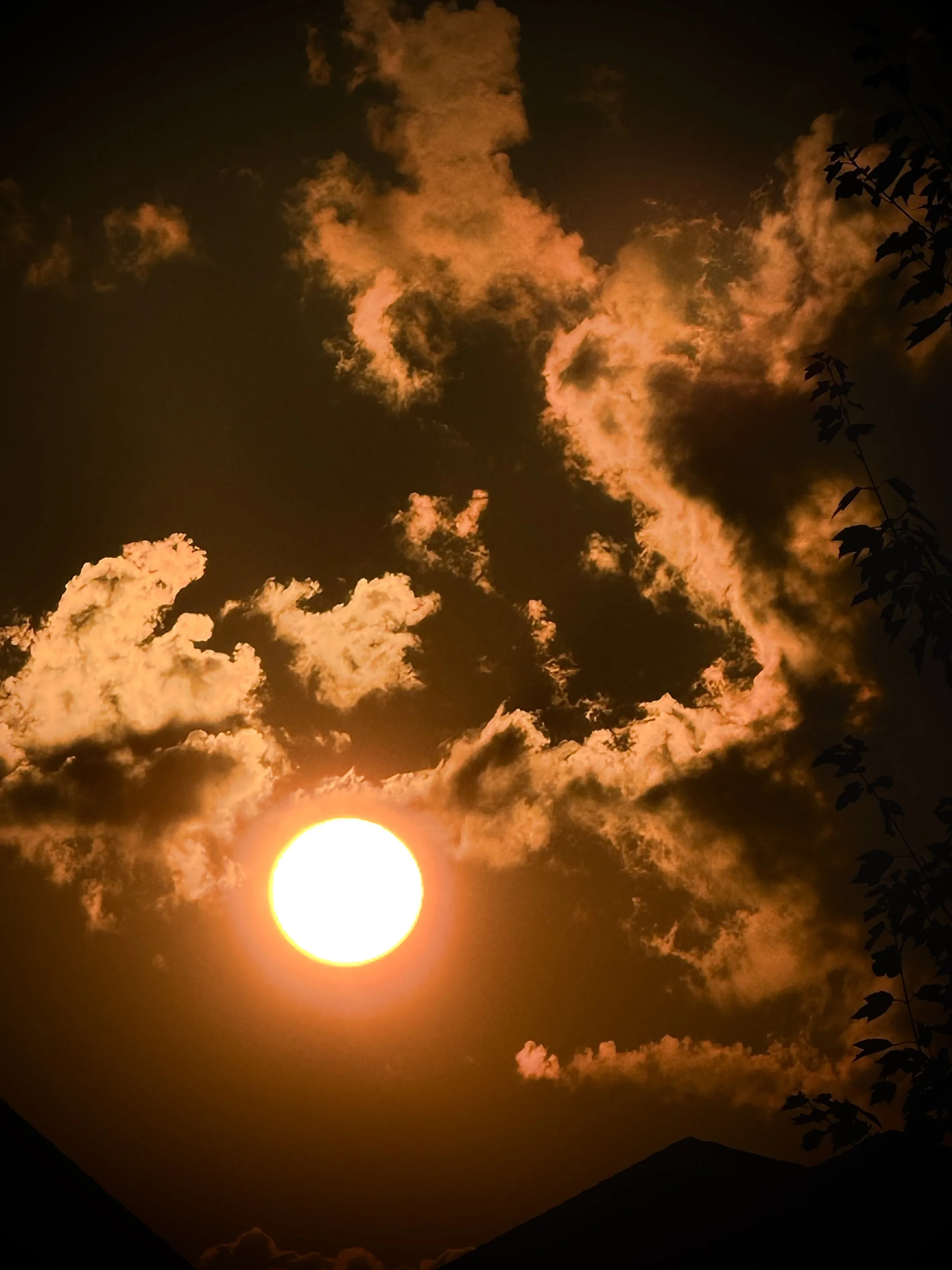 An image of the sky with a sun in the bottom left corner. The orange from the sun paints the clouds a similar hue. on the right border there are hints of tree branches which are silhouetted by the sun.