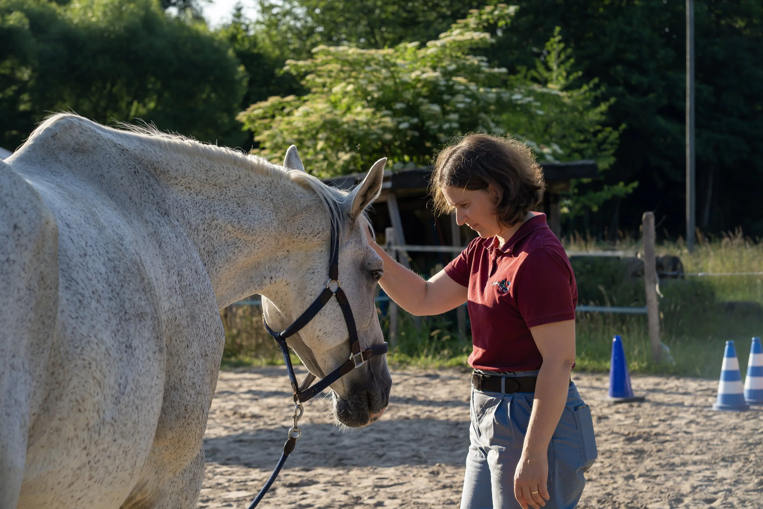 Pferdegestützte Coachings mit unserer Seminarleitung Dr. Charlotte von Chappuis.