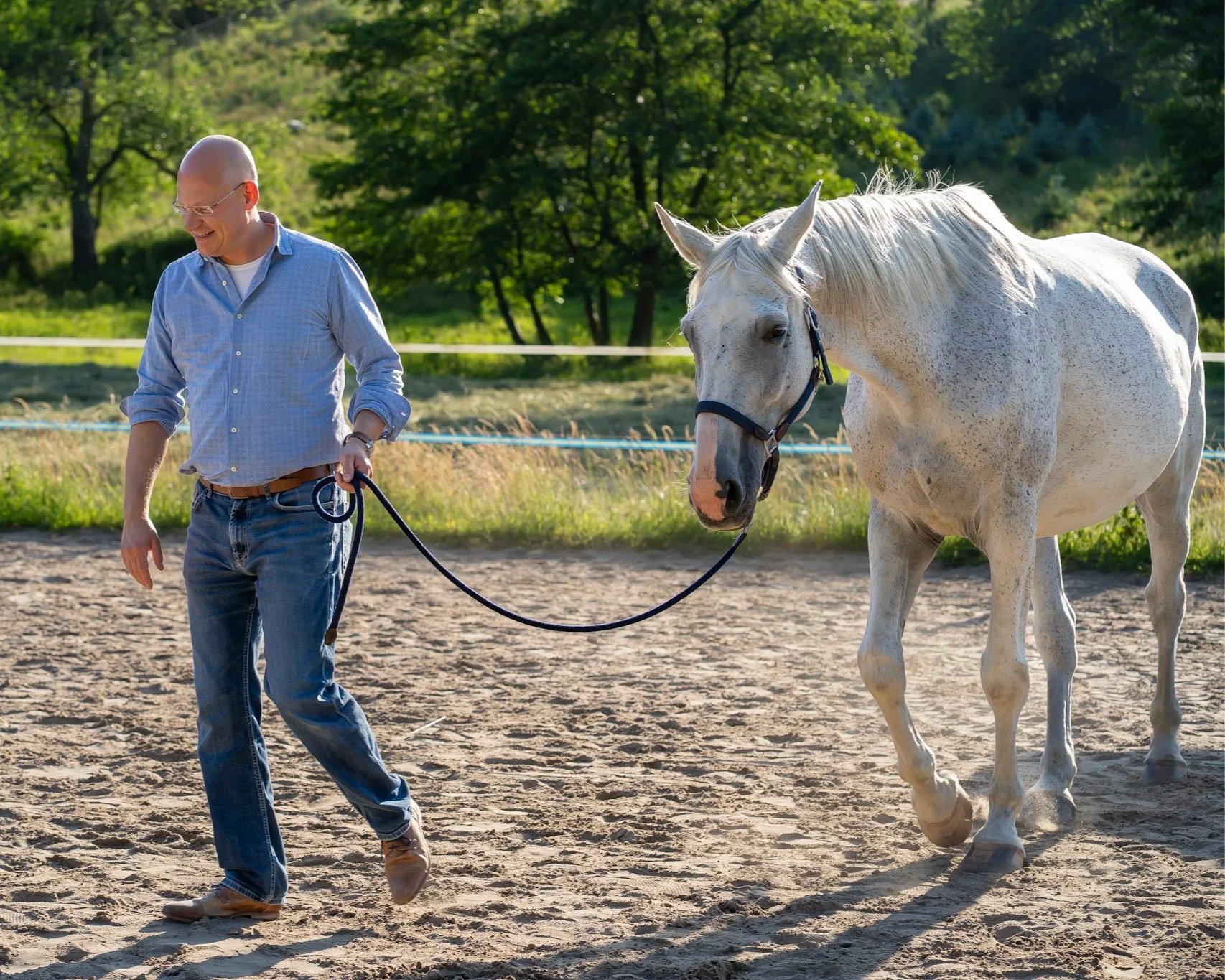 Coaching mit Pferden