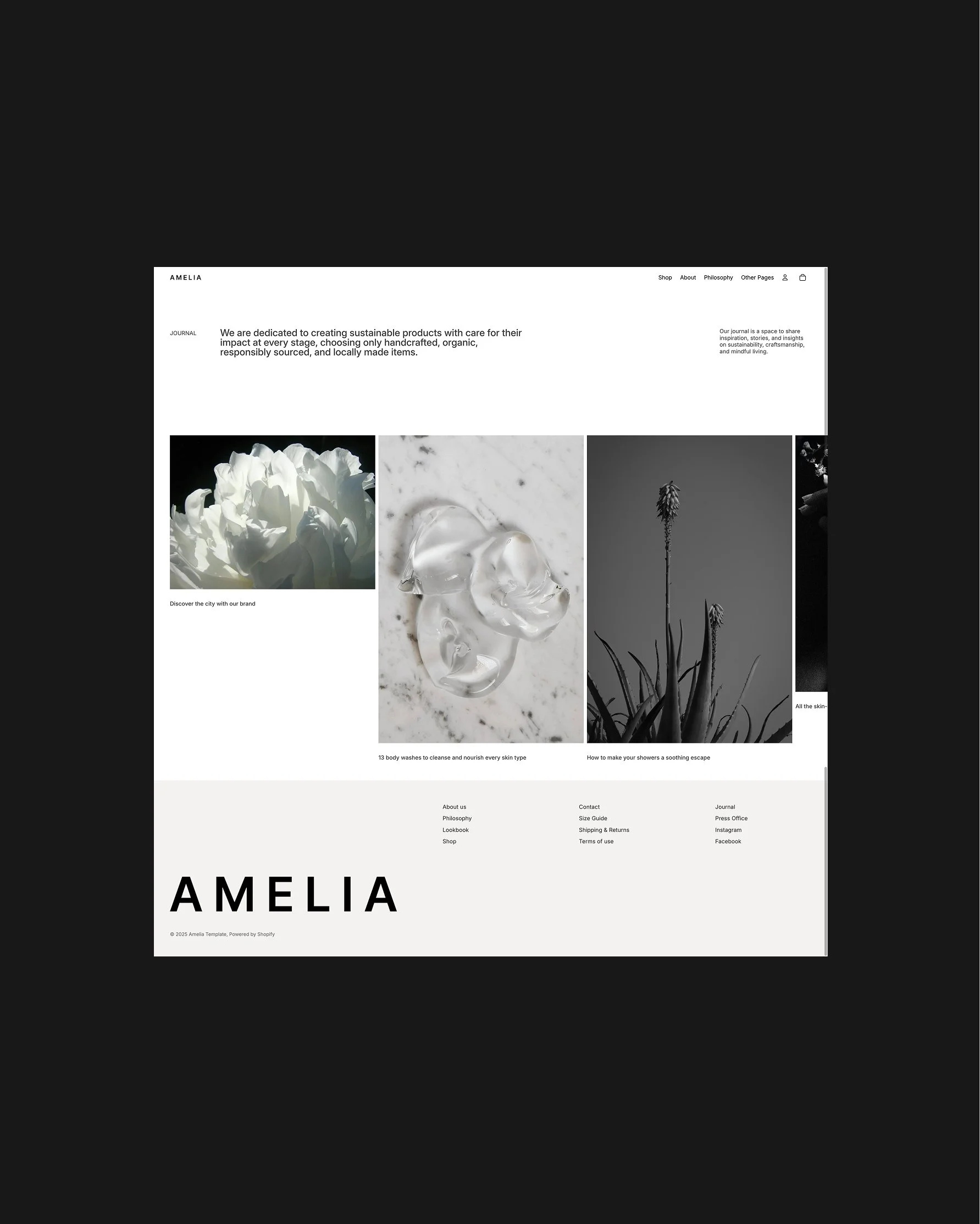 Amelia Shopify Themes - 3.jpg
