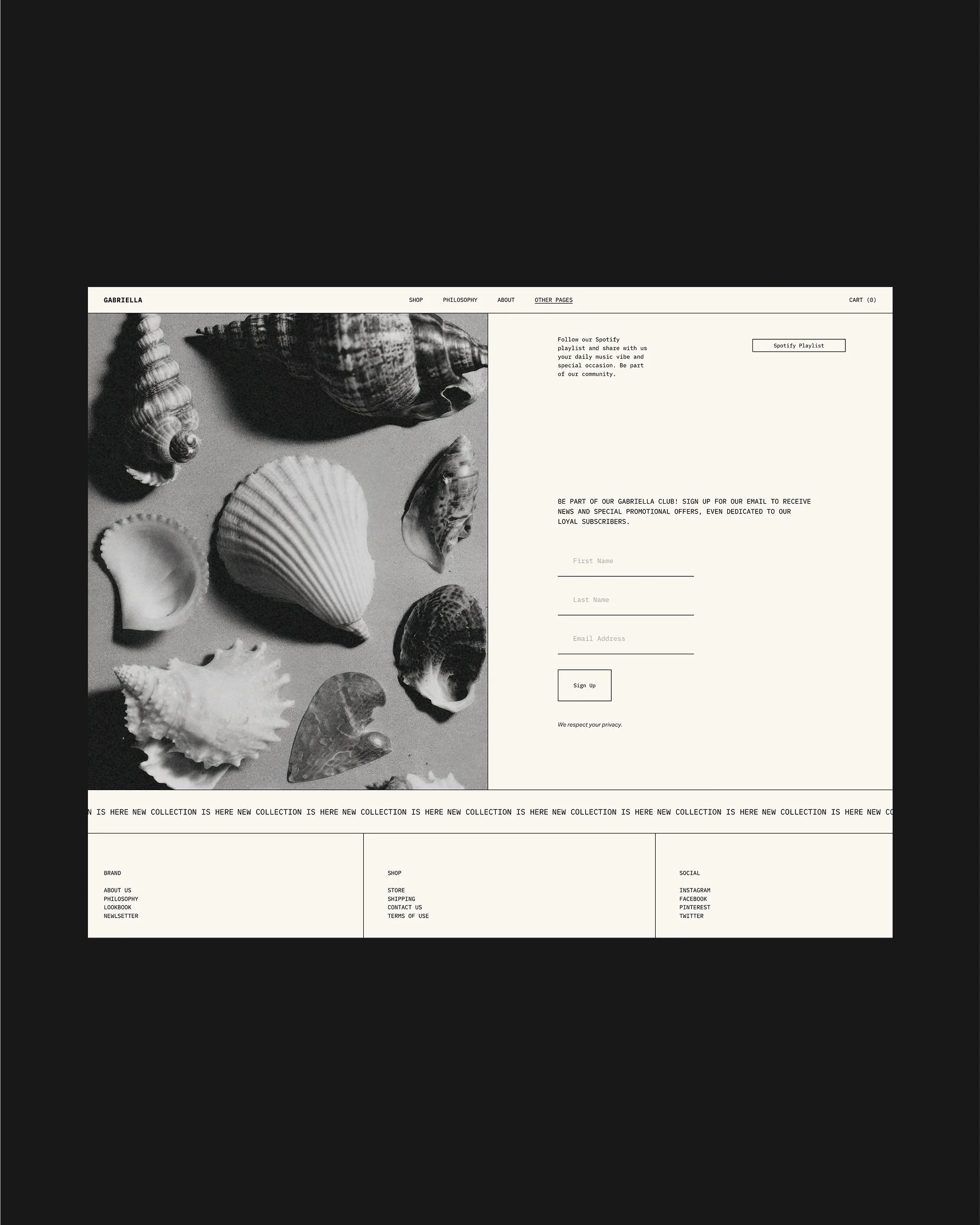 Gabriella Squarespace Ecommerce Template-5.jpg