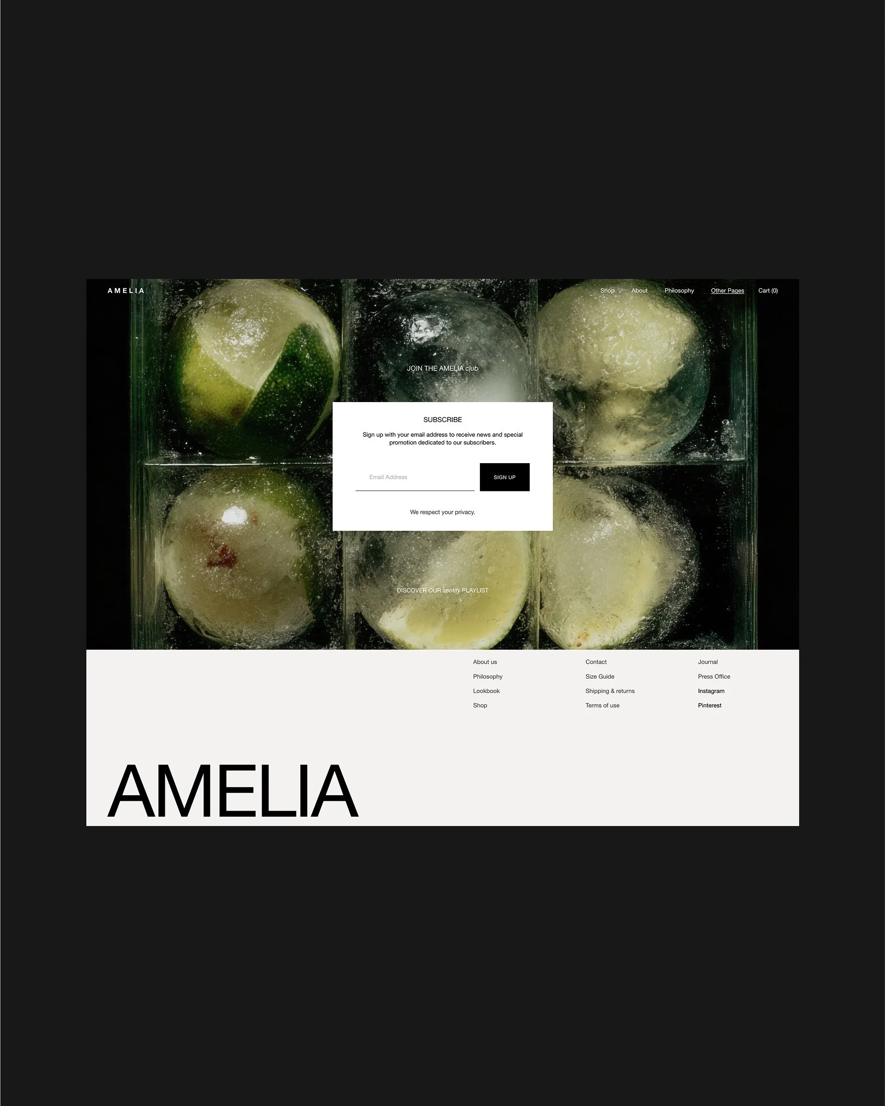 Amelia Squarespace Ecommerce Template-5.jpg