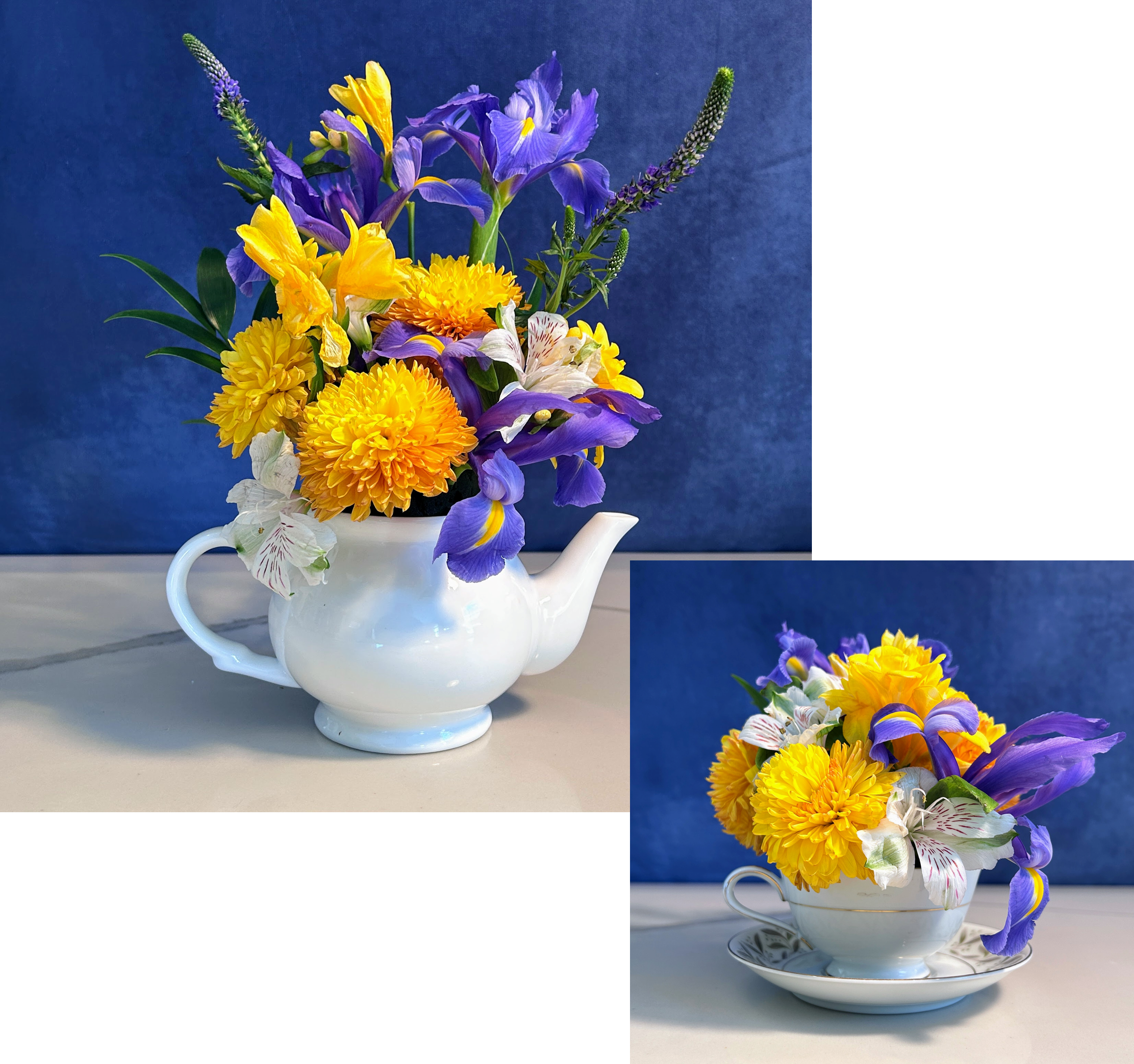 Teapot & Teacup Combo (design your own)