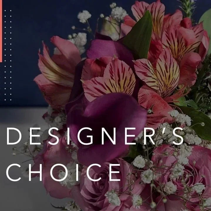 Designer%2527s%2BChoice.jpg