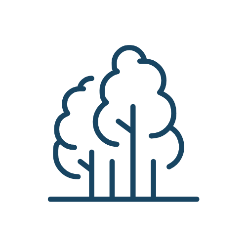 Line drawing of three trees with a simple landscape background.