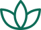 A simple icon of two green leaves.