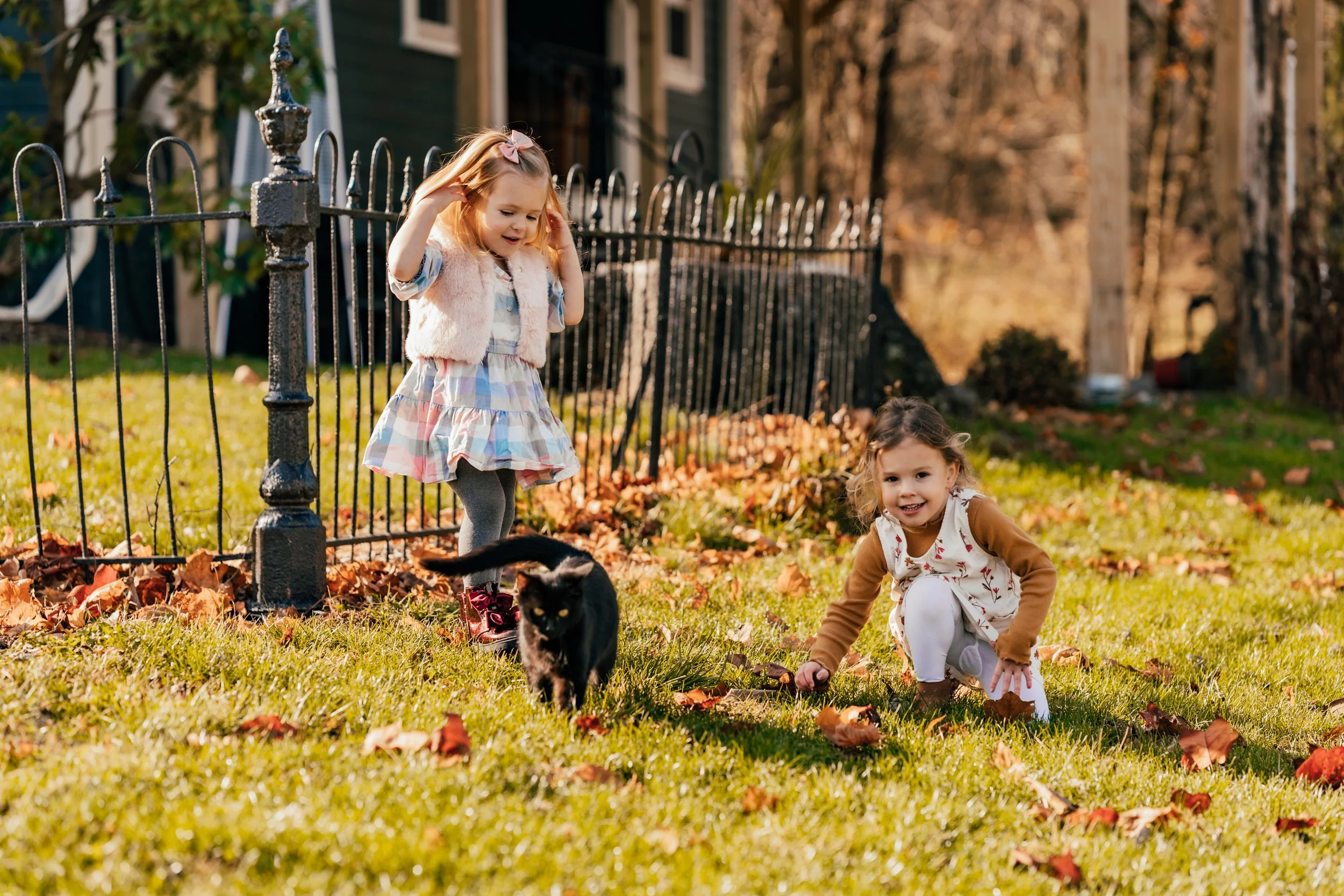 Selenite Tea House is kid friendly! Visit with our sweet barn cats and explore our 18-acres with your loved ones after your delicious afternoon high tea service or private event.