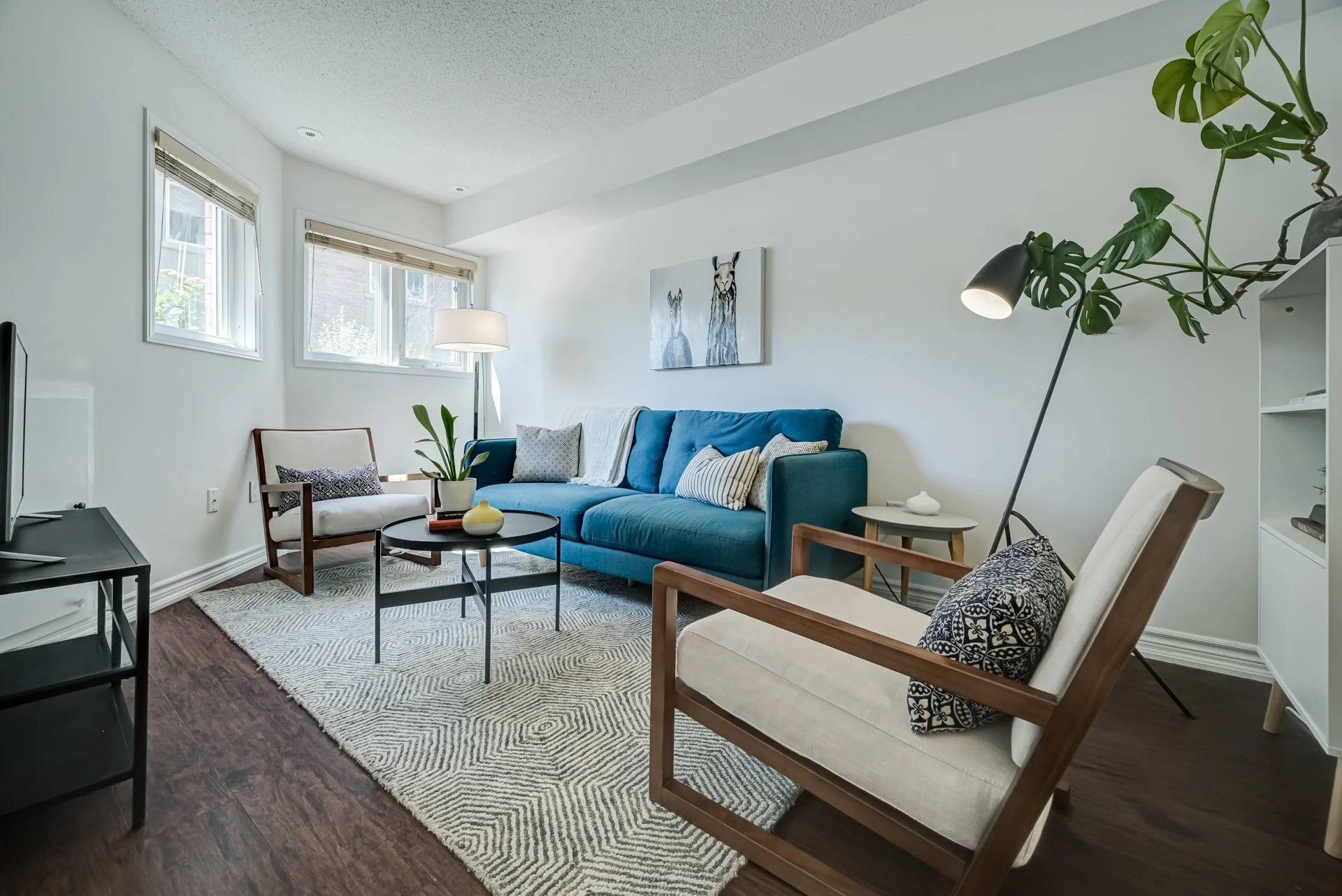 Living room with a blue sofa, armchairs, coffee table, television, and houseplants, bright sunlight coming through windows.