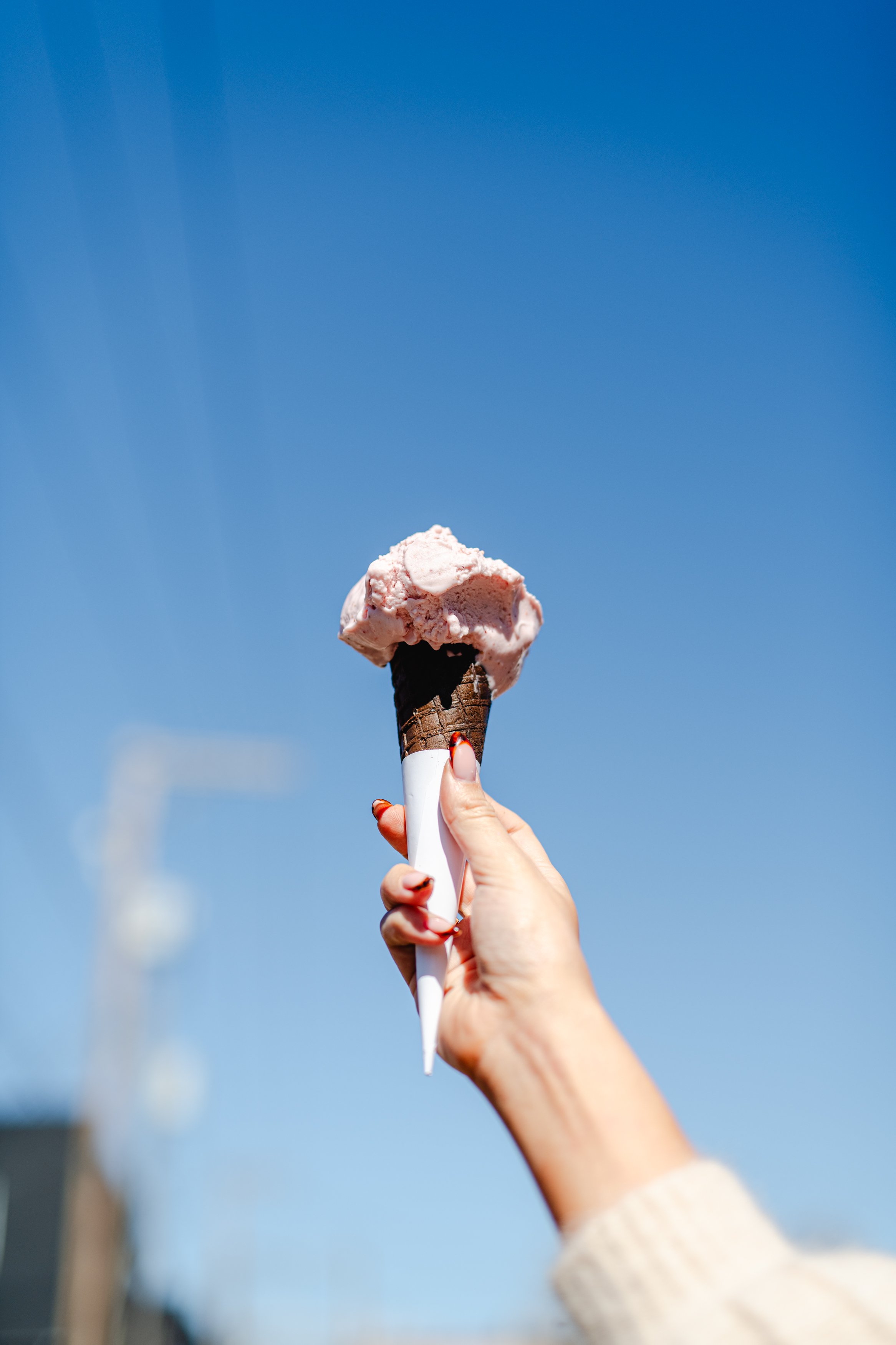 Beppi's Gelato - Gelato - Strawberry - 5765.jpg