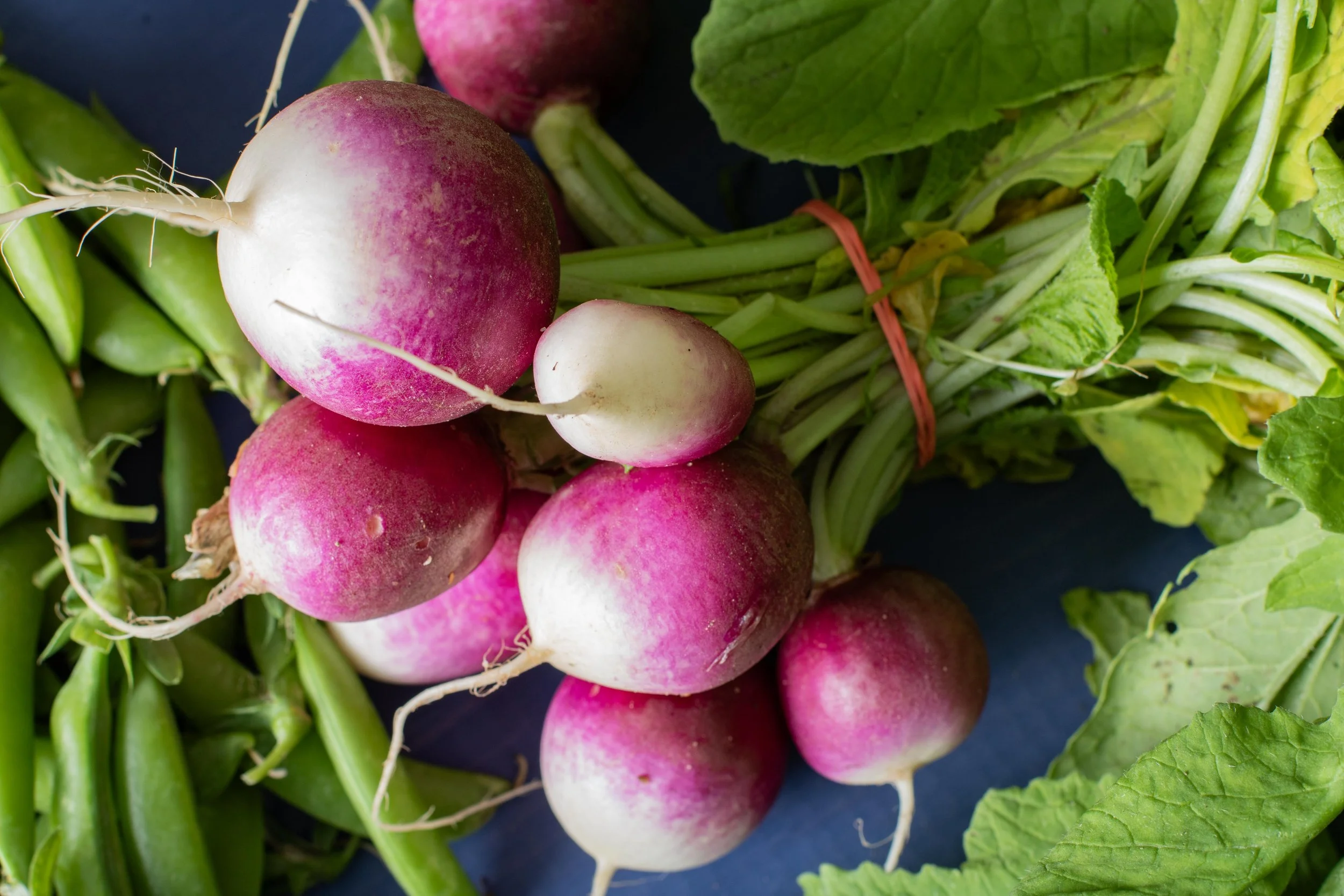 Supper at Saxony: Spring Supper Saturday May 30th