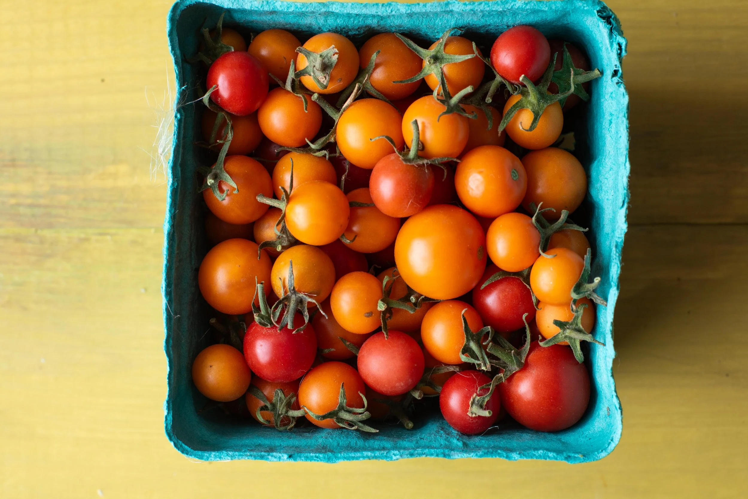 A top-down view of a turquoise container filled with cherry tomatoes of various sizes and ripeness, some red and some orange, on a yellow wooden surface.