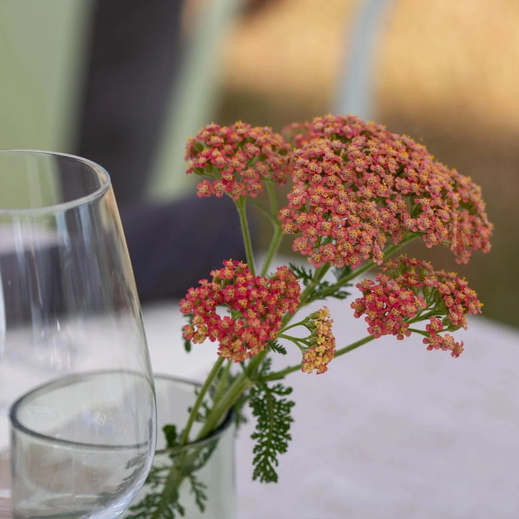 Pink and yellow flowering plant in a small glass vase on a table