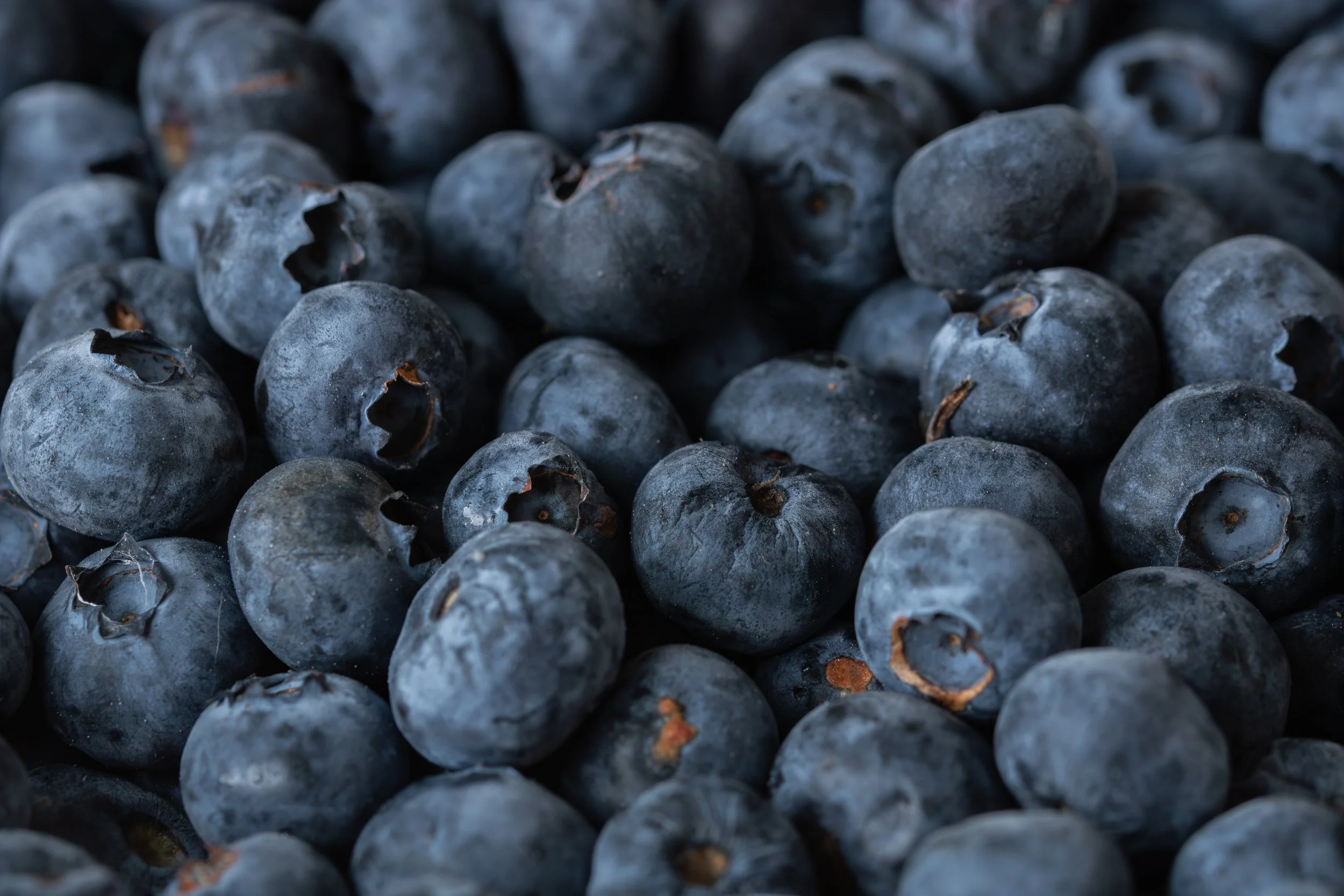 Close-up of fresh blueberries.