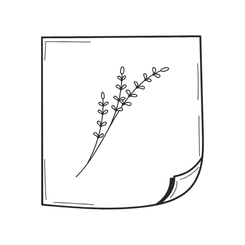 An illustration of a sprig of lavender with small leaves and flowers inside a simple square frame.