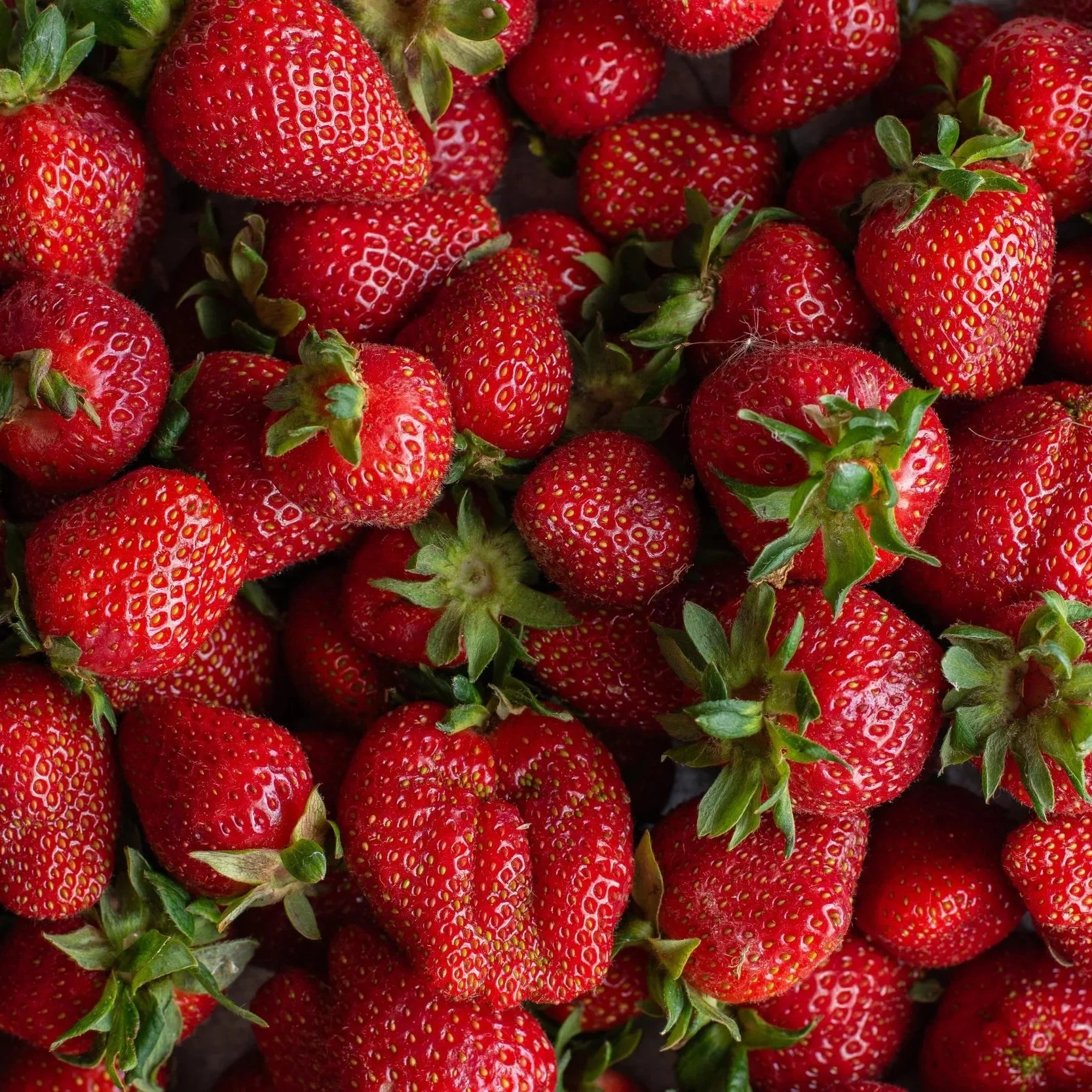 Spring+Strawberries-2.jpg