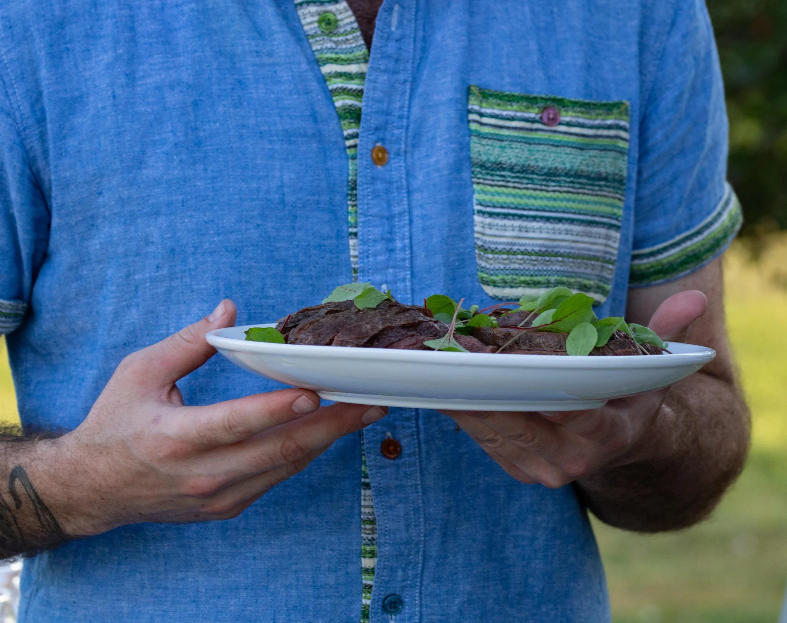 Person holding a white plate with cooked meat garnished with green leaves outdoors.