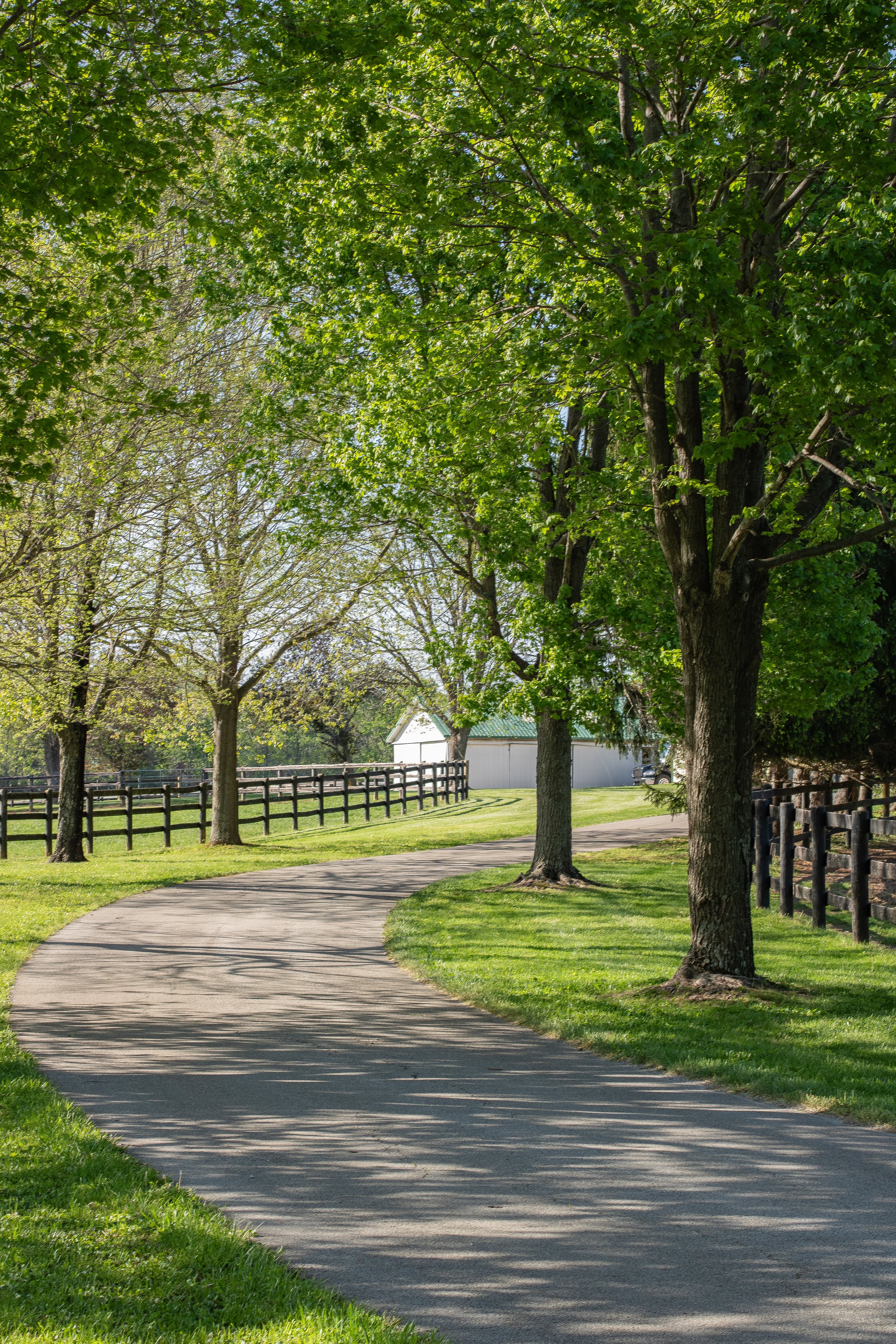 A paved pathway winds through a grassy area lined with tall trees with lush green leaves, a white fence on the left, and a white building with a green roof in the background on a sunny day.