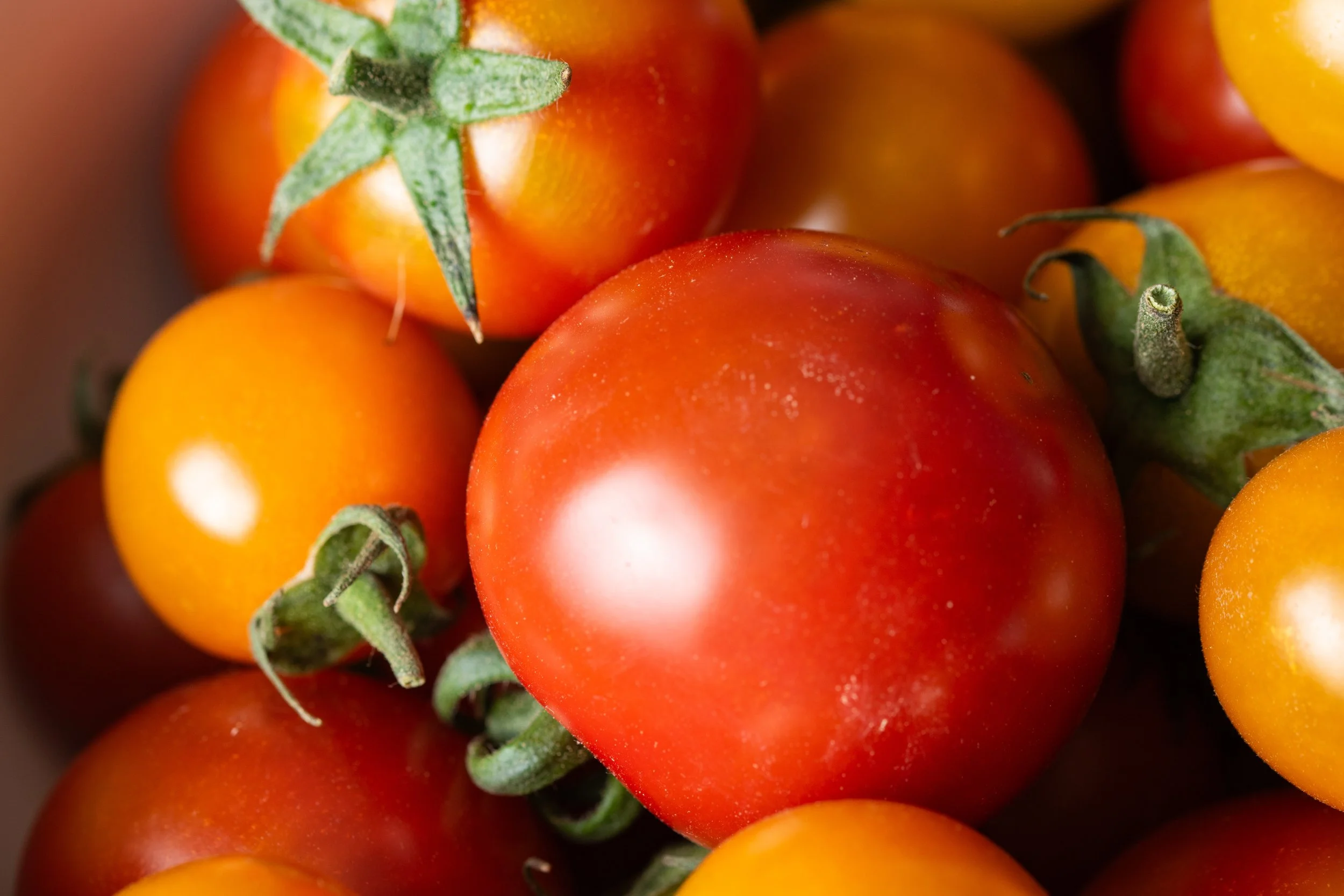 Close-up of cherry tomatoes in various stages of ripeness, with green stems attached.