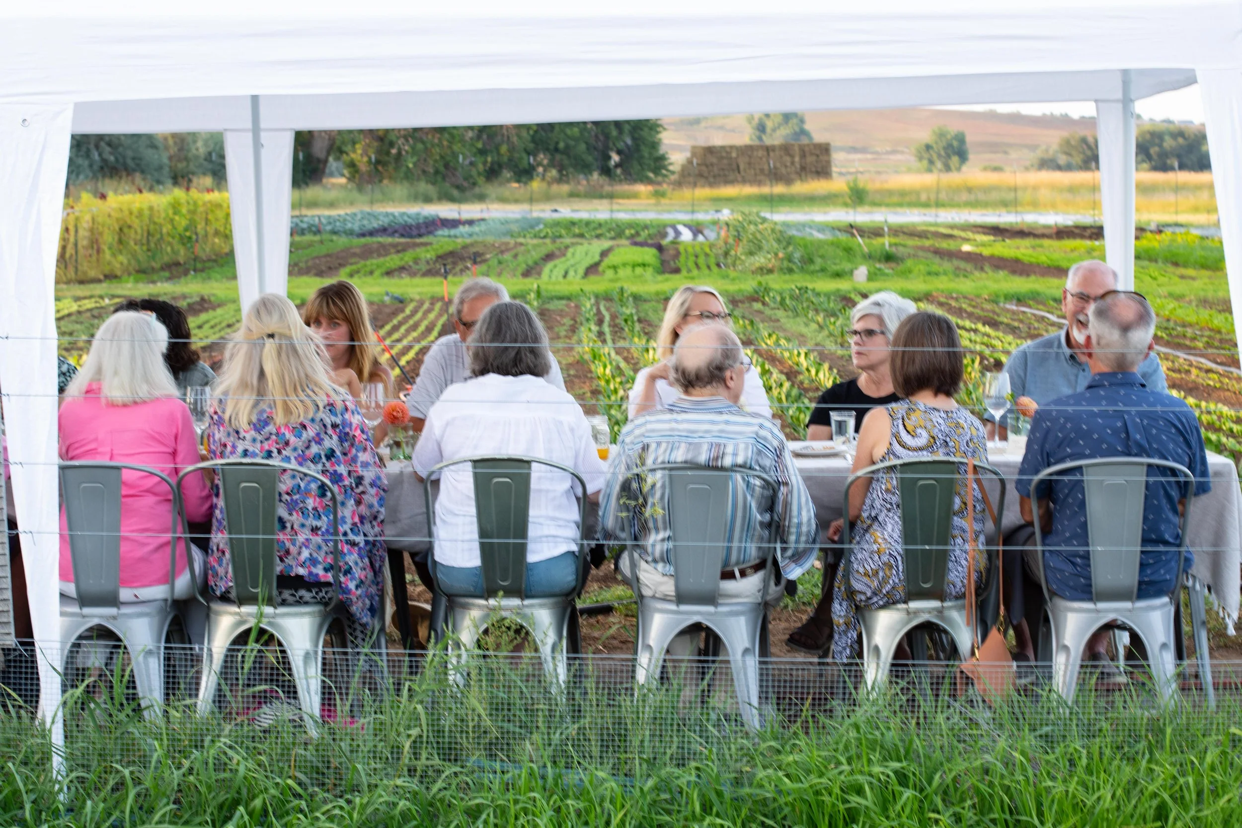 Group of people seated at a long table under a white tent, enjoying a meal outdoors with a farm or garden in the background.