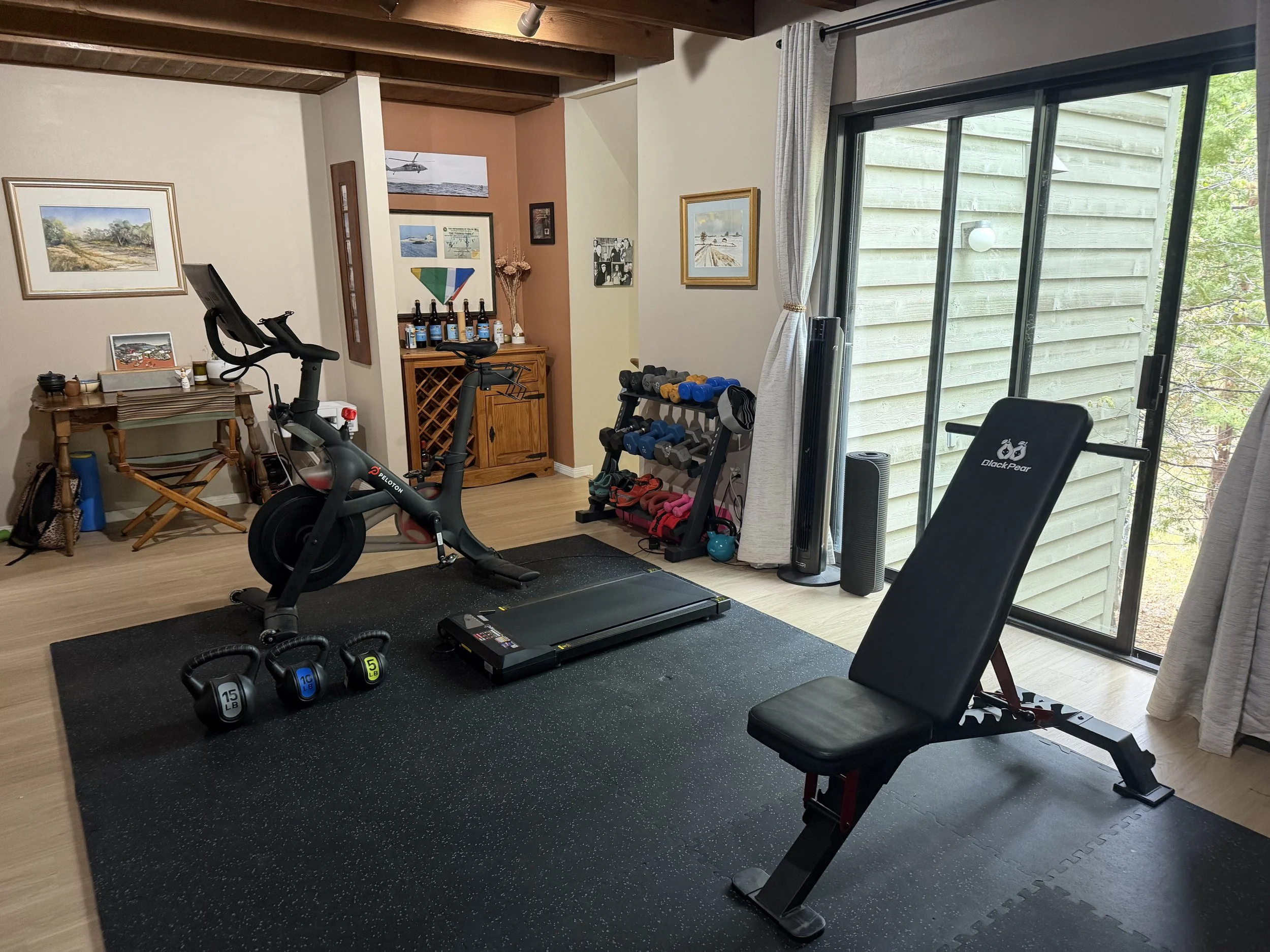 1 HR Personal Training in my home gym