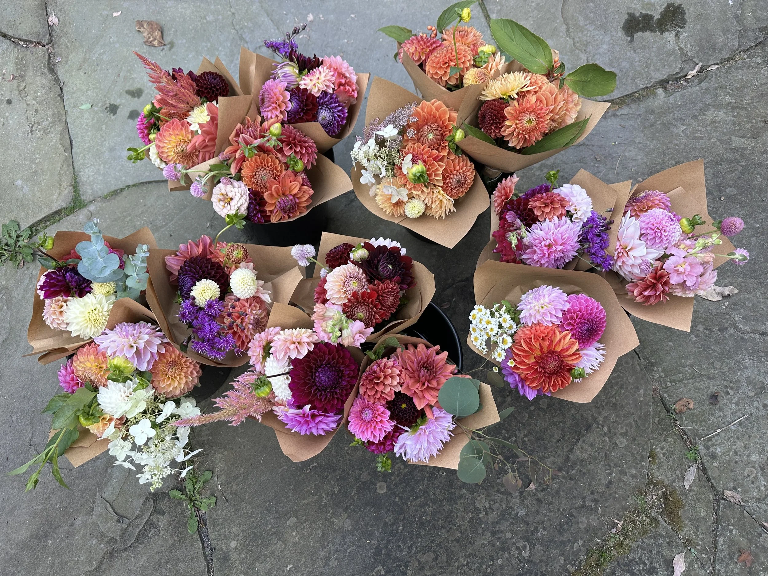 Small Bouquet of Dahlias