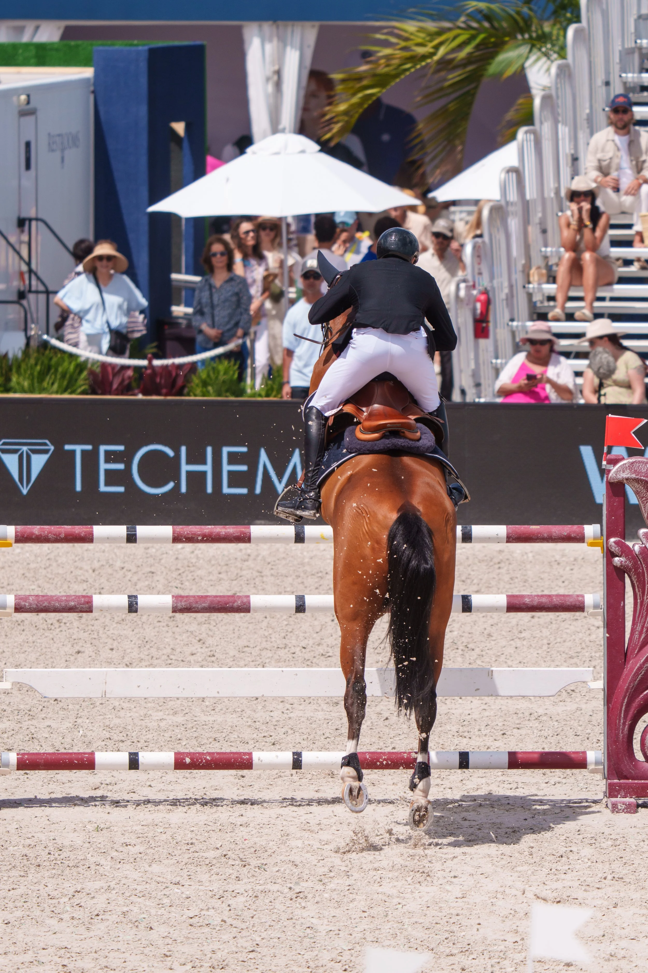 LonginesMiami Beach. Sat. 0017.JPG