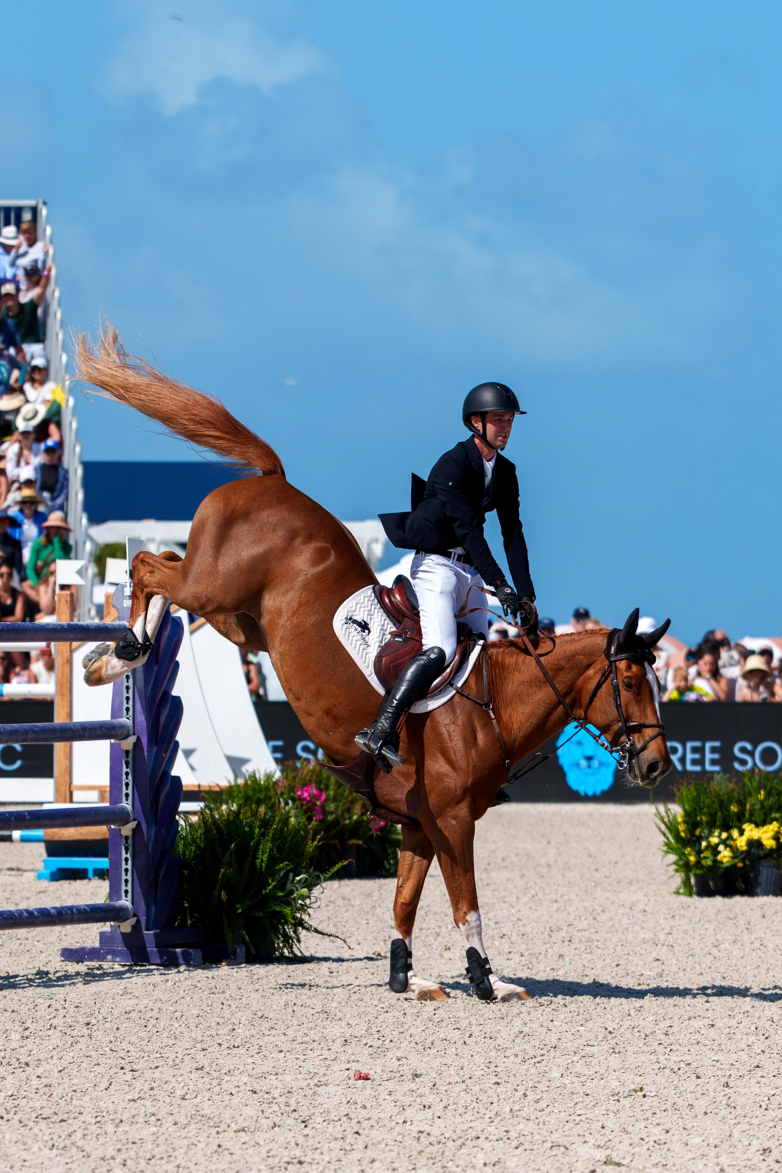 LonginesMiami Beach. Sun. 0074.JPG