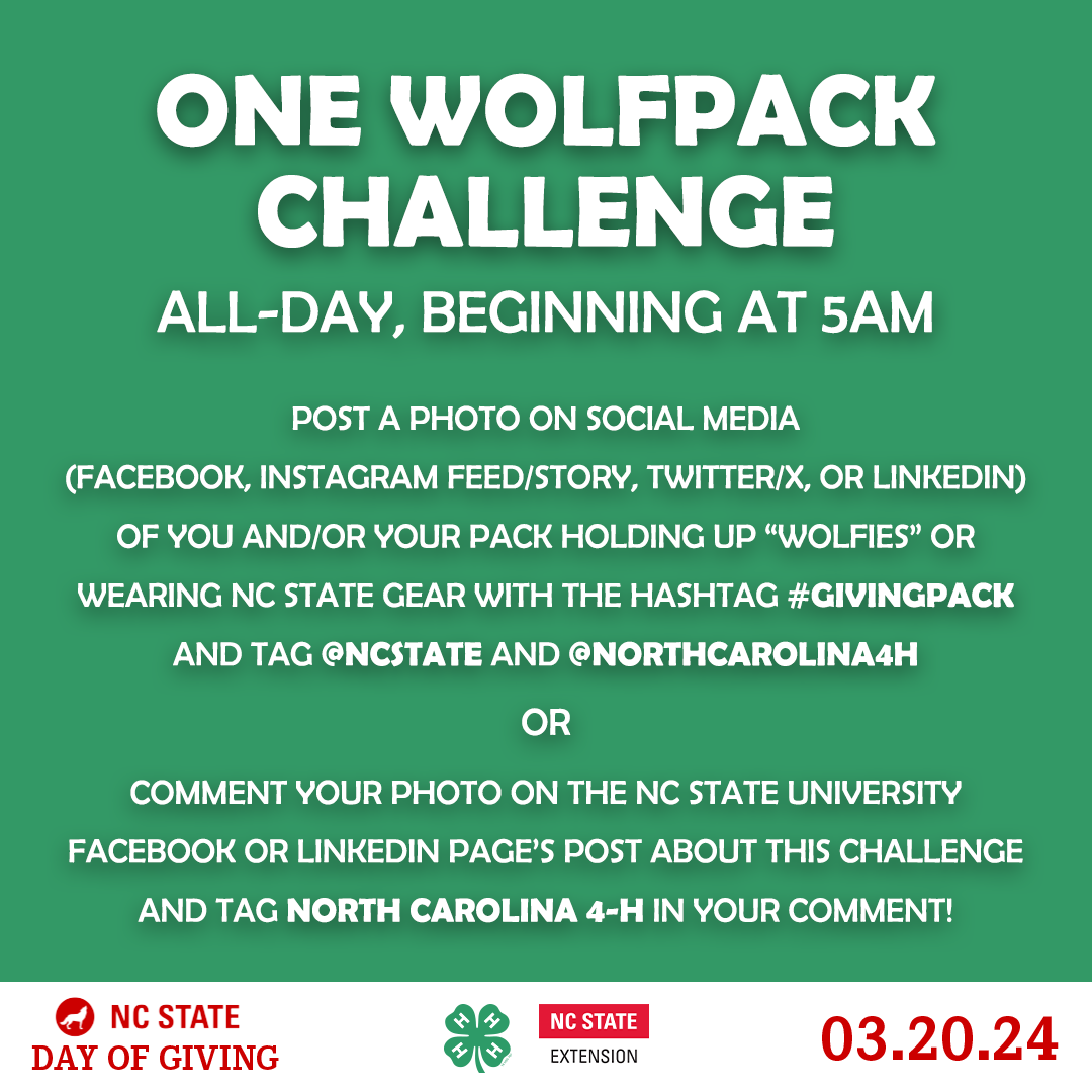 Day of Giving Challenges_2.png