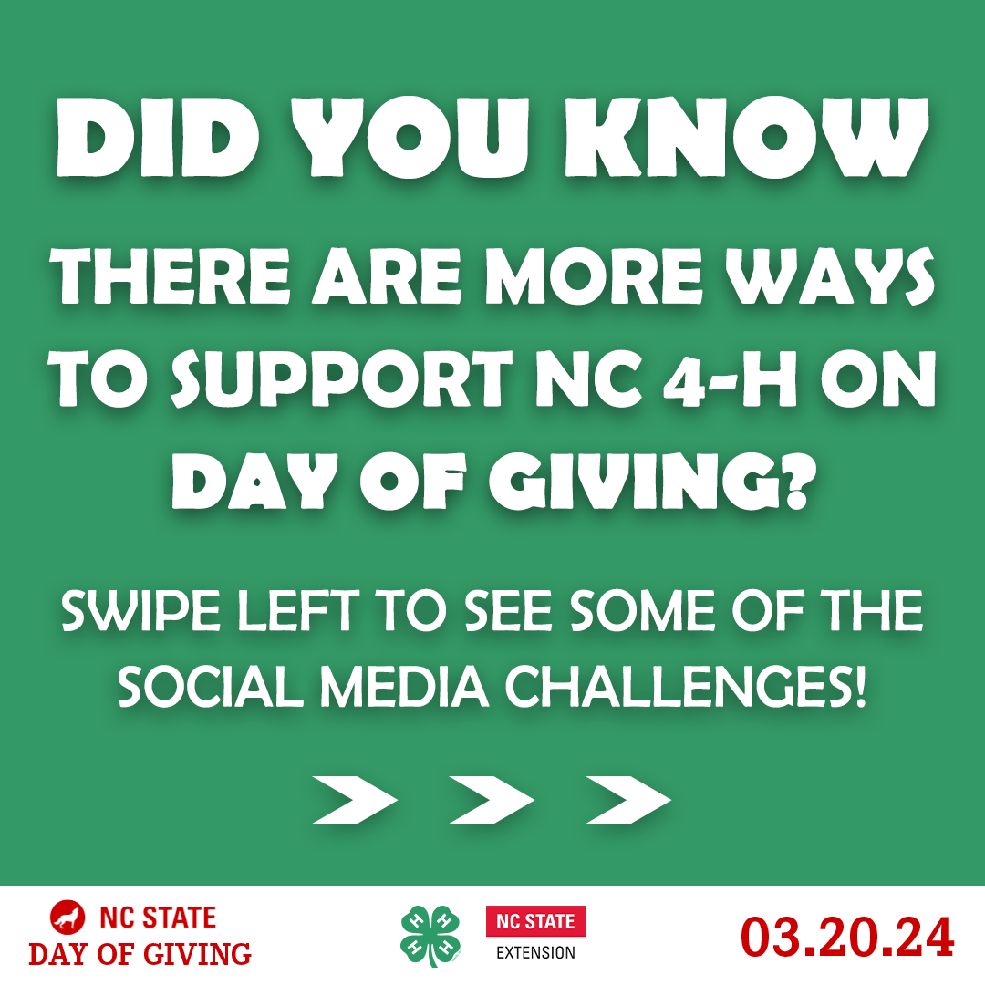 Day of Giving Challenges_1.png