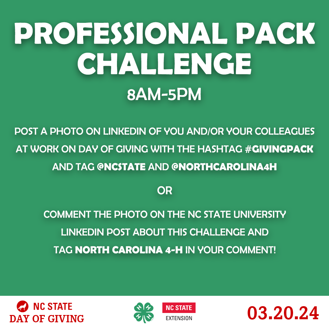 Day of Giving Challenges_4.png