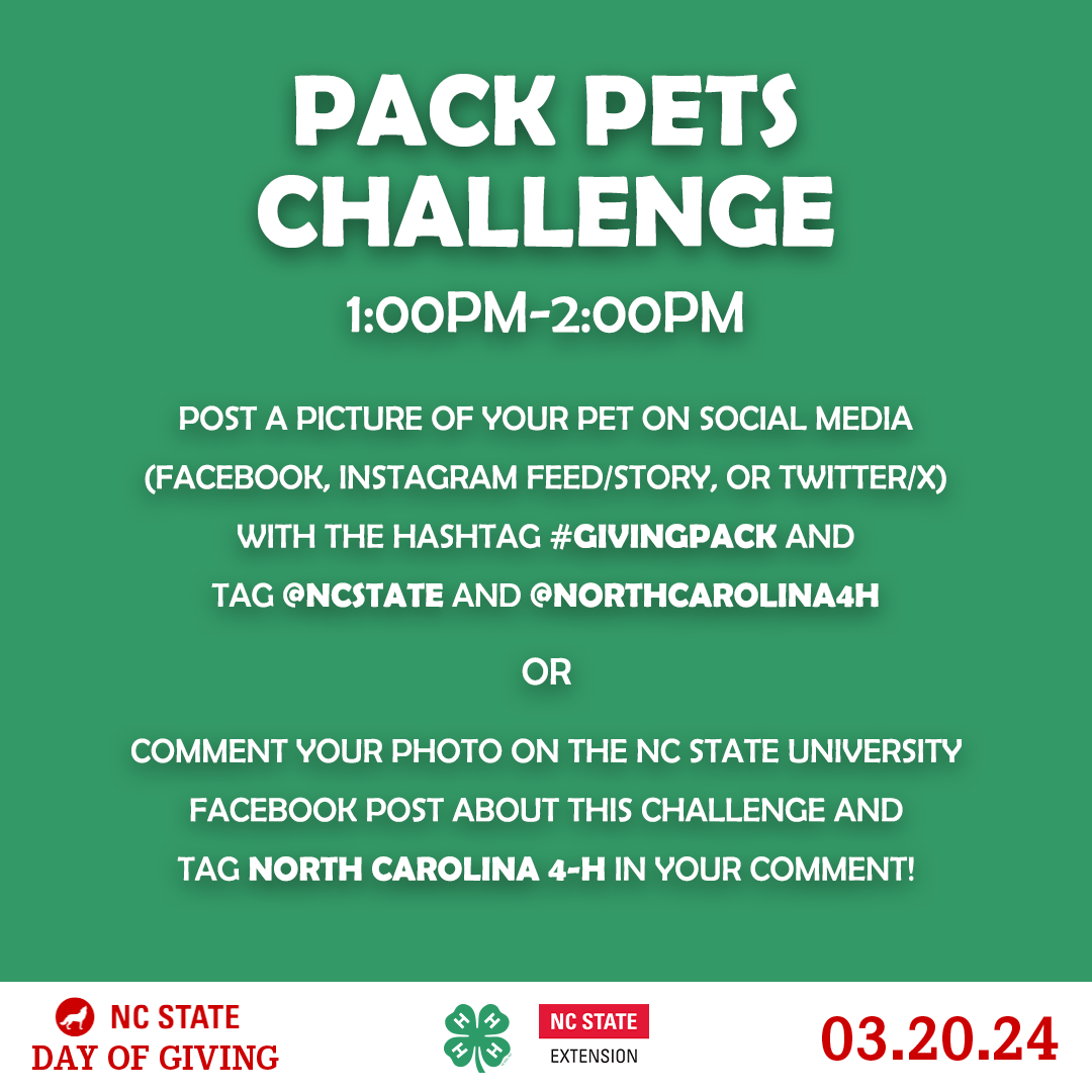 Day of Giving Challenges_3.png