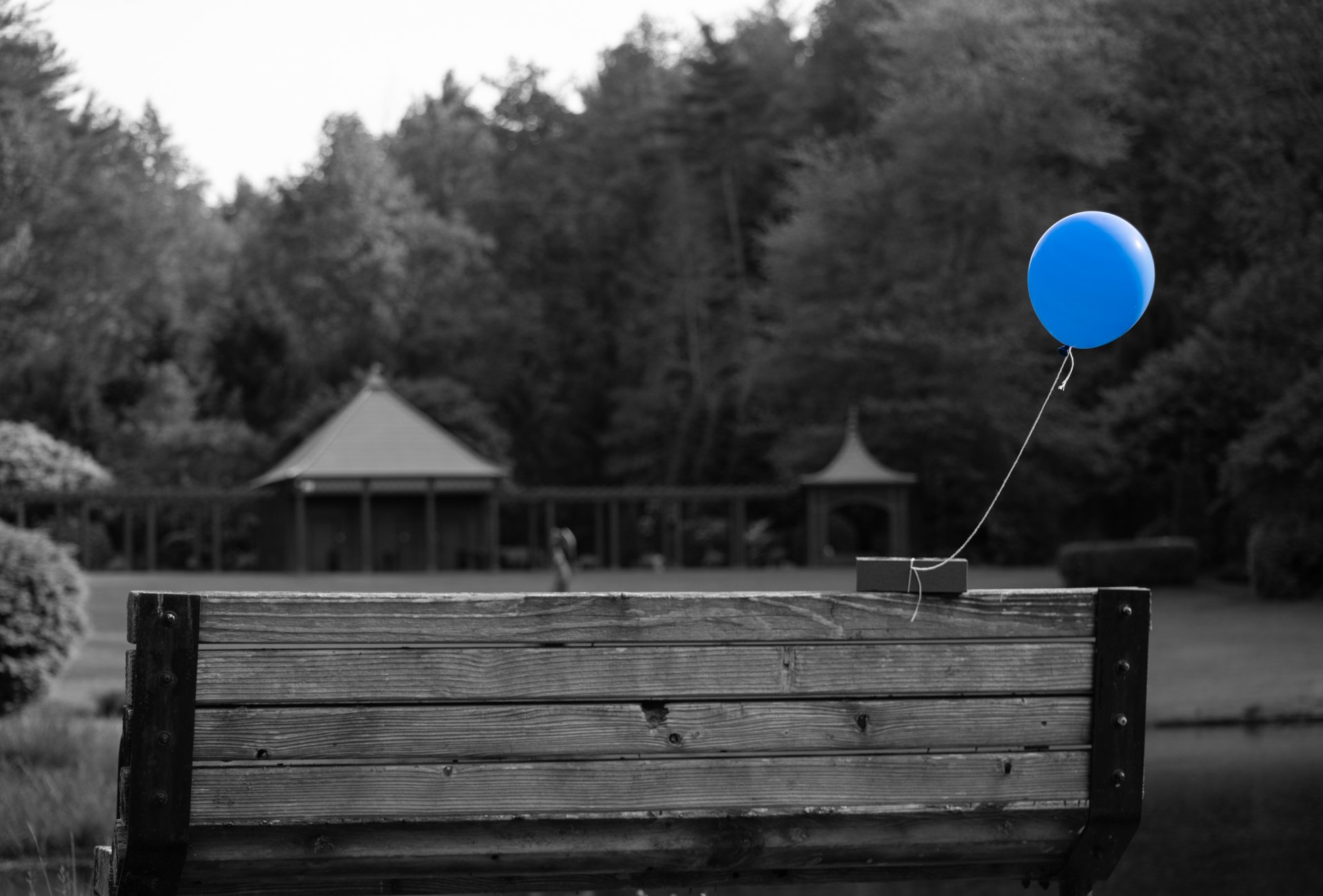 colorsplash (2 of 4).jpg