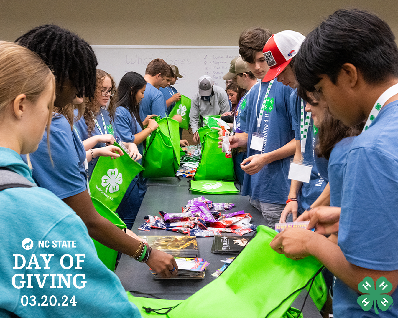 Day of Giving 4-H Promo 2.png