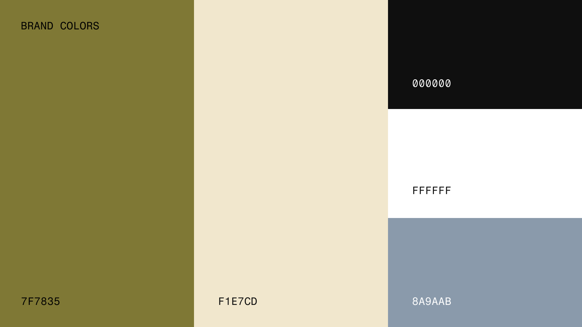 Brand Colors.png