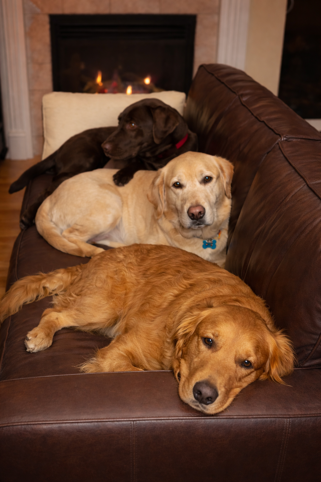 Three Hearts, One Promise Project