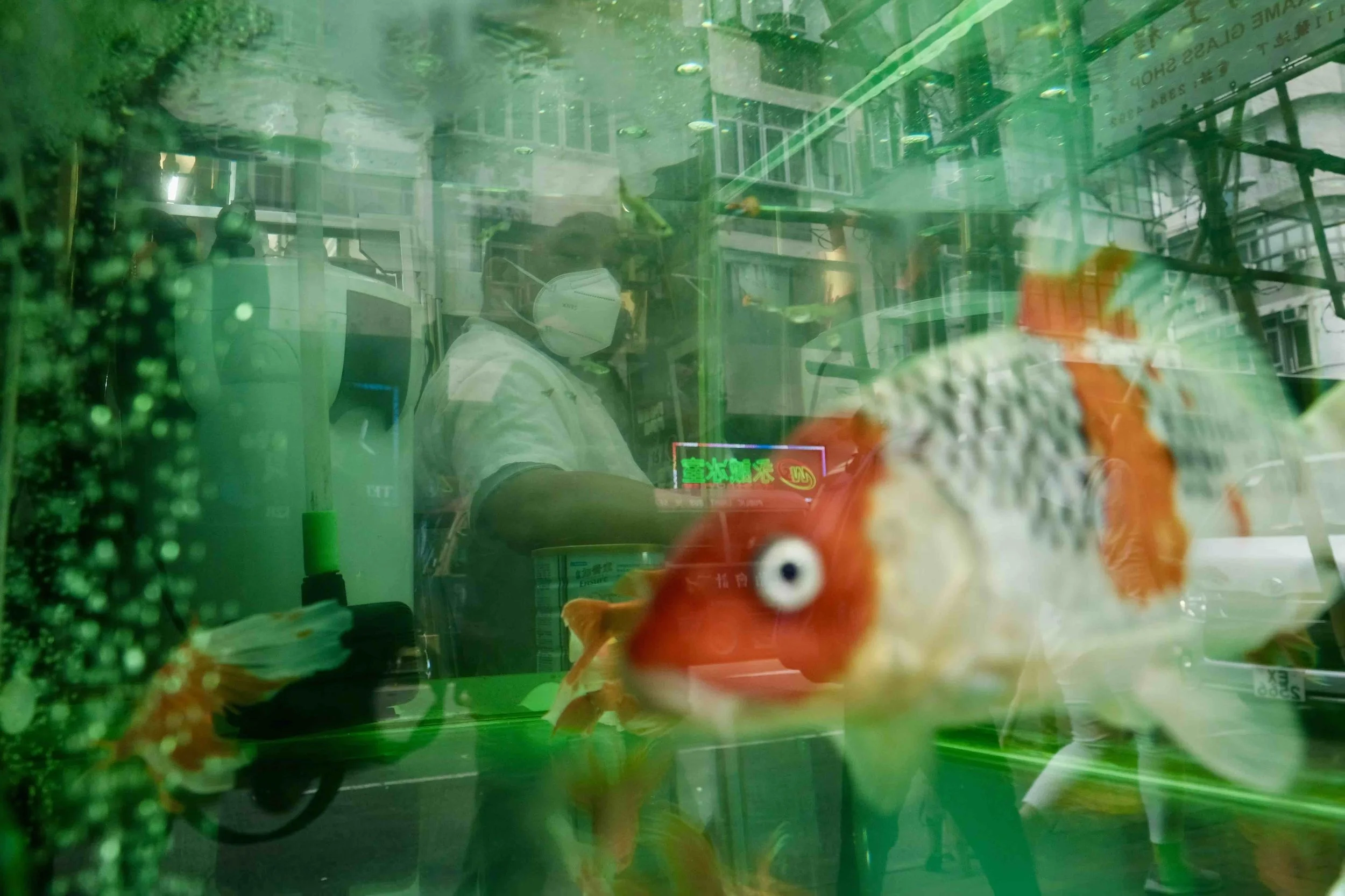 Hiding in Plain Sight