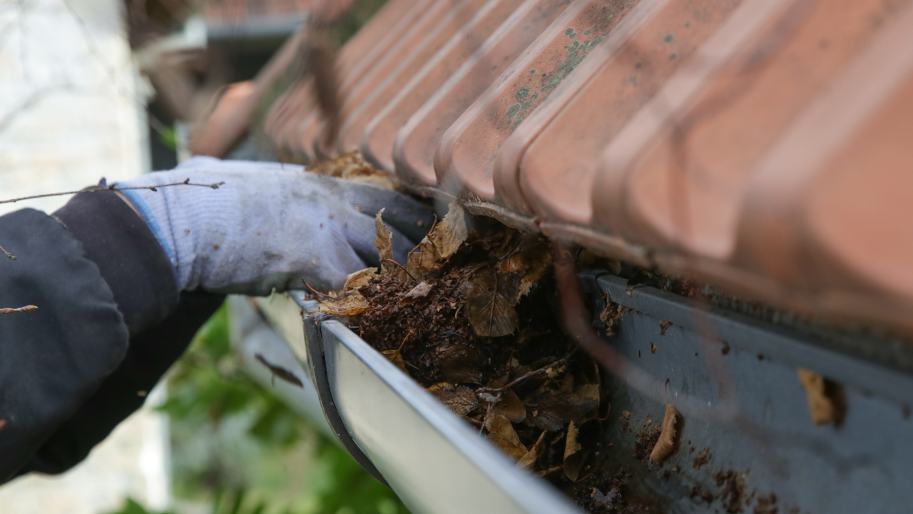 A person wearing gloves cleaning debris, leaves, and dirt out of a gutter along the edge of a roof.