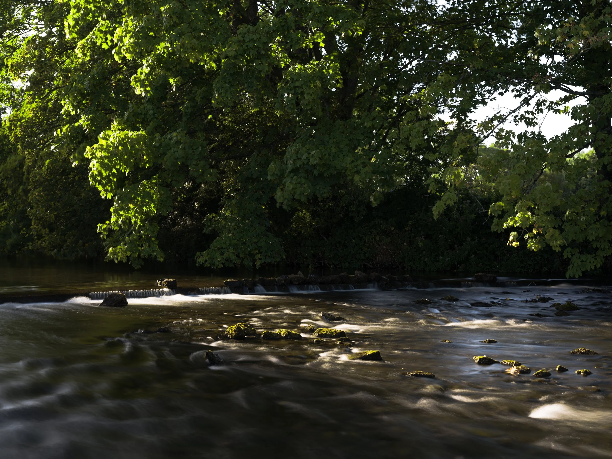 B0008489.jpg