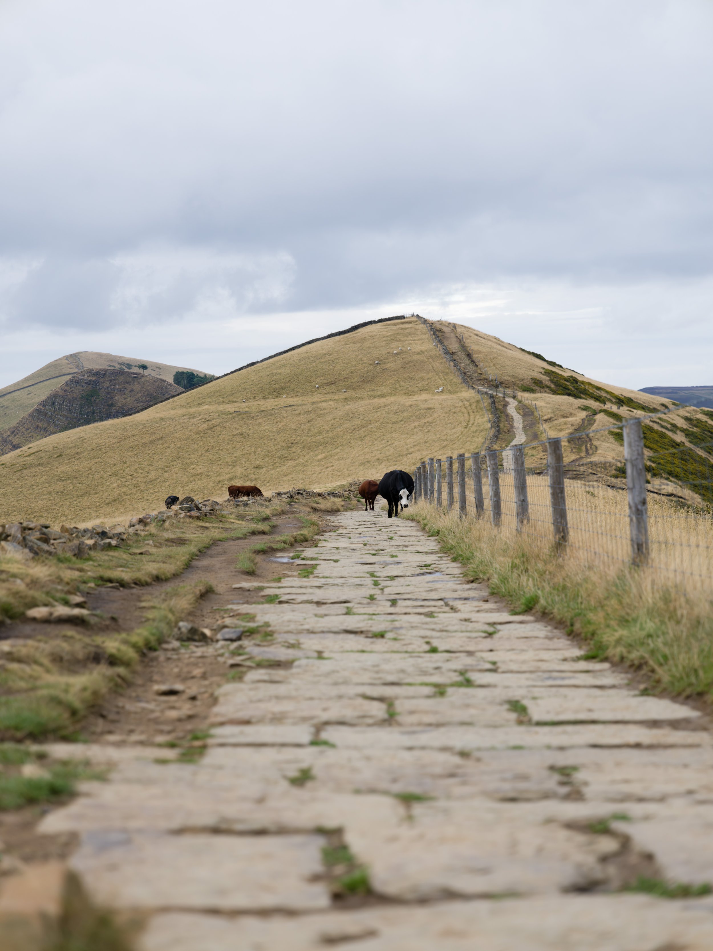B0007493.jpg