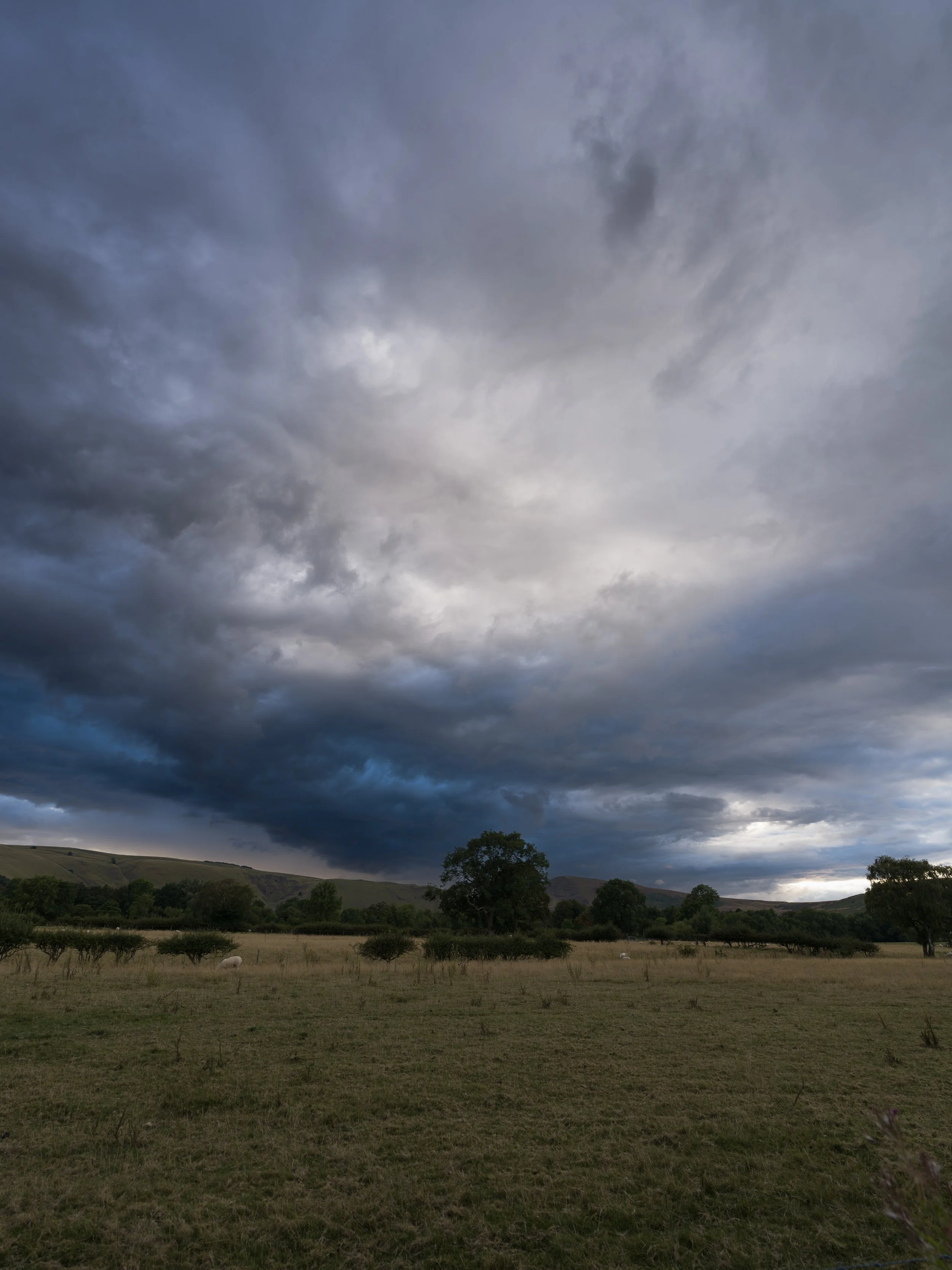 B0007955.jpg