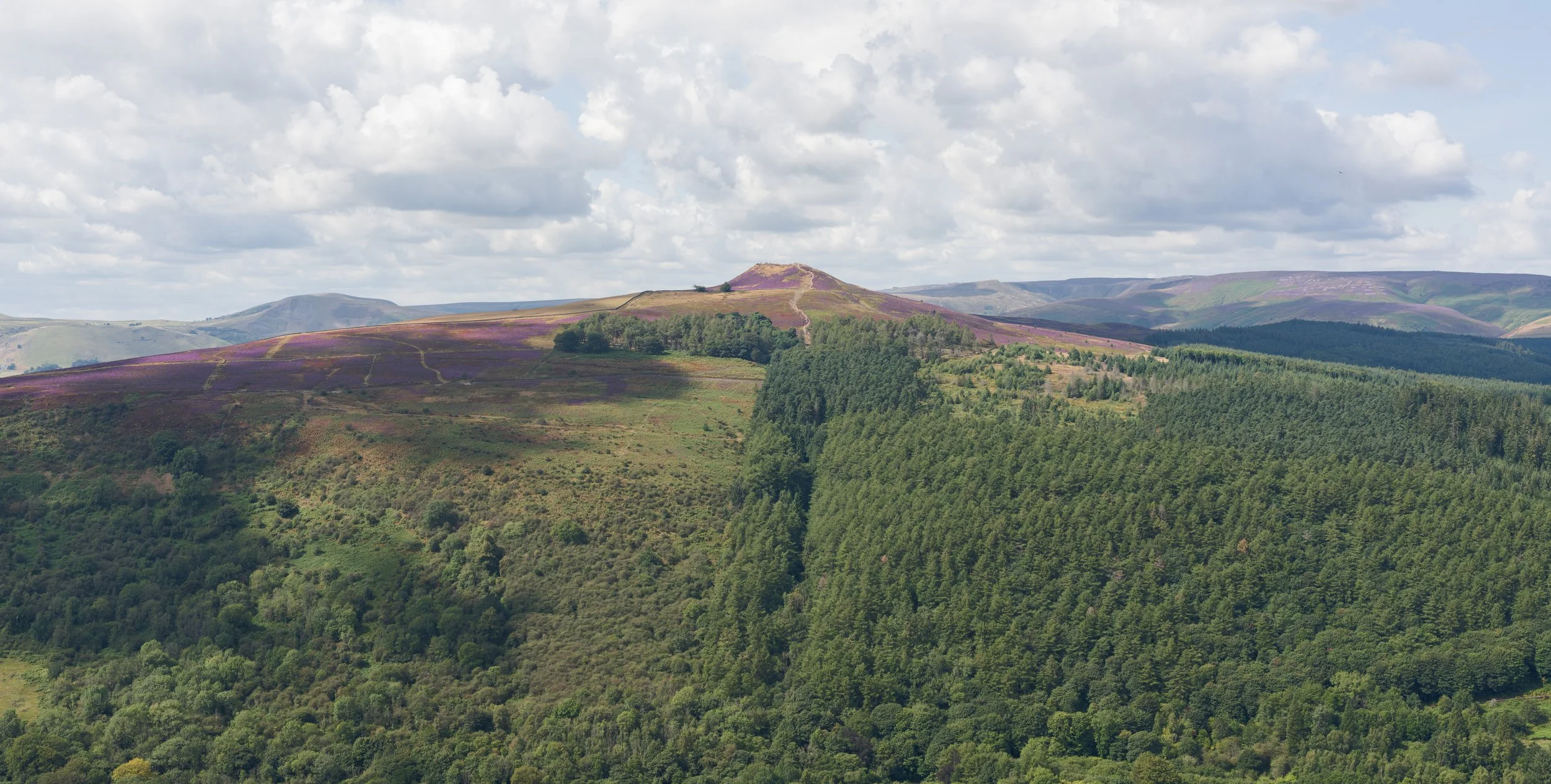 B0008114.jpg