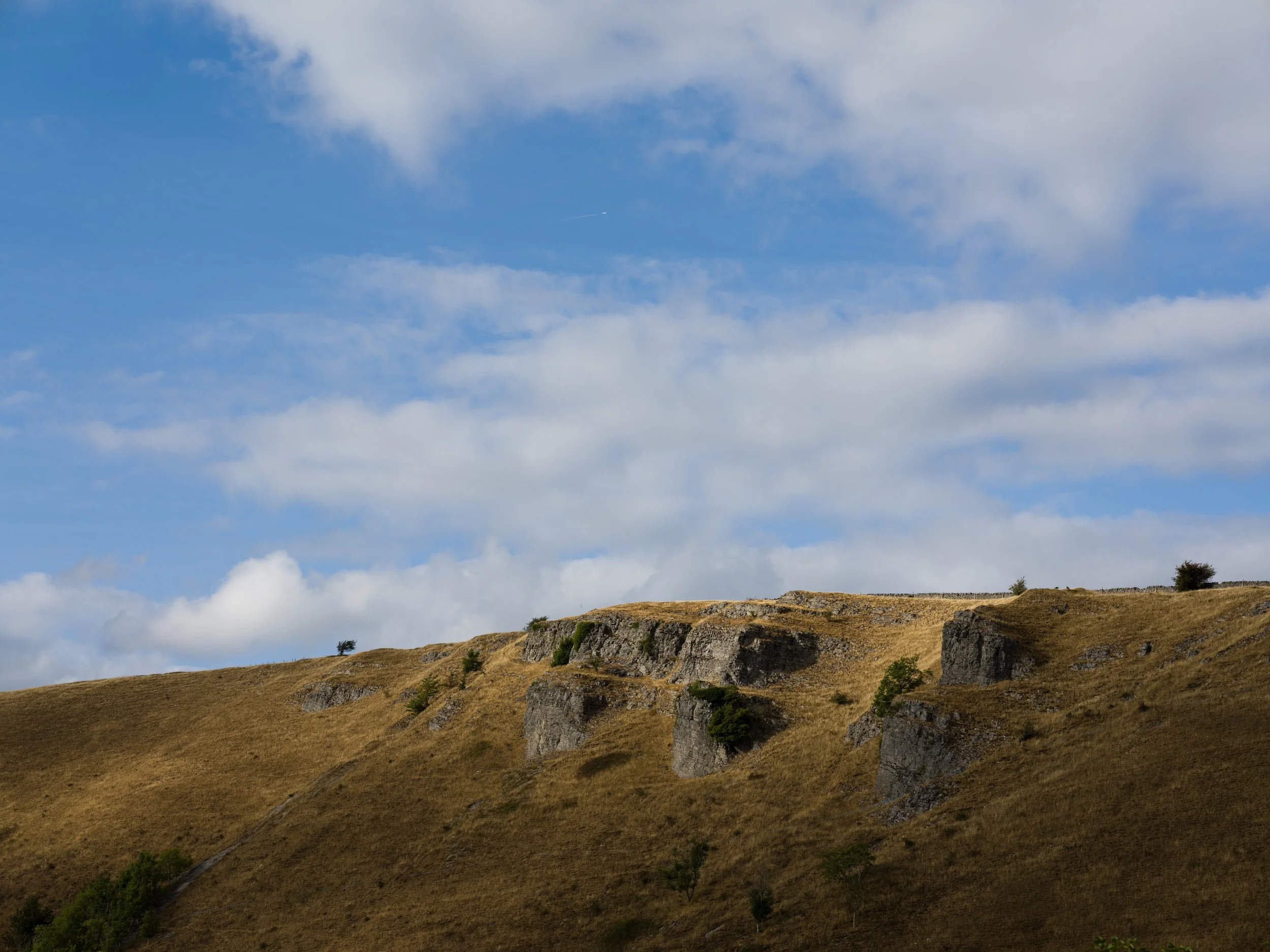 B0008298.jpg