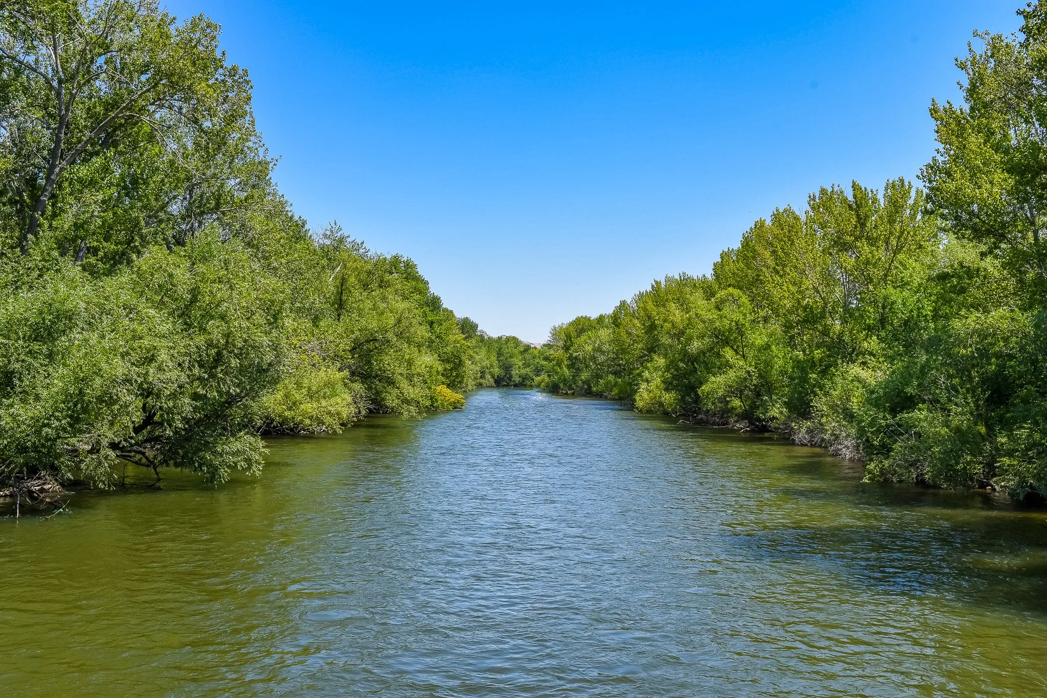 The Boise River and Greenbelt near Downtown Eagle, Idaho.