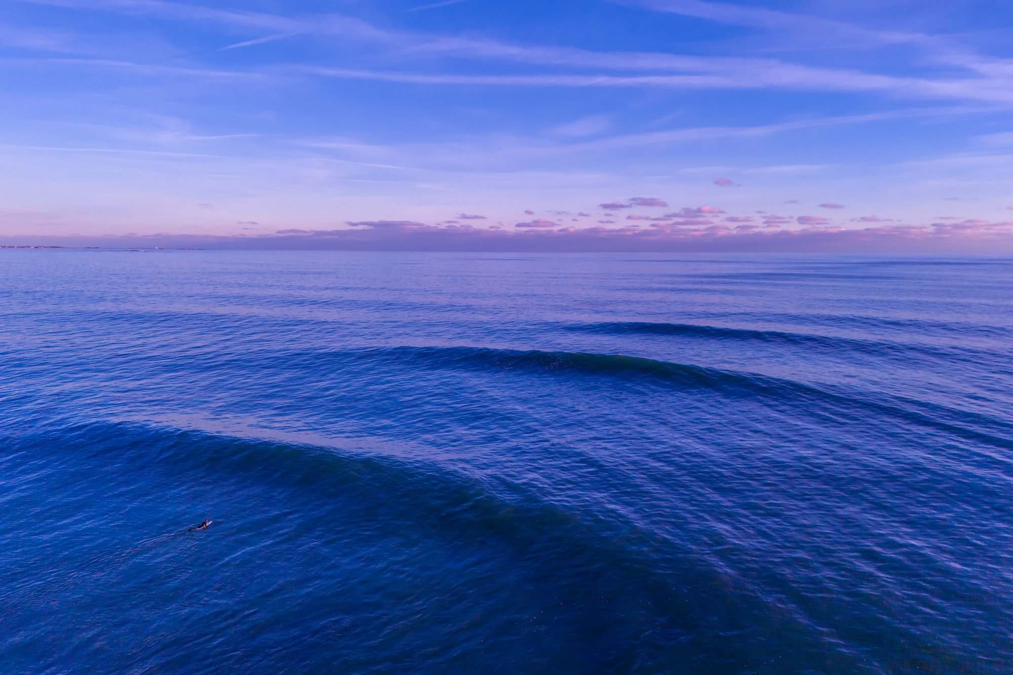 Only Dead Fish Go With The Flow