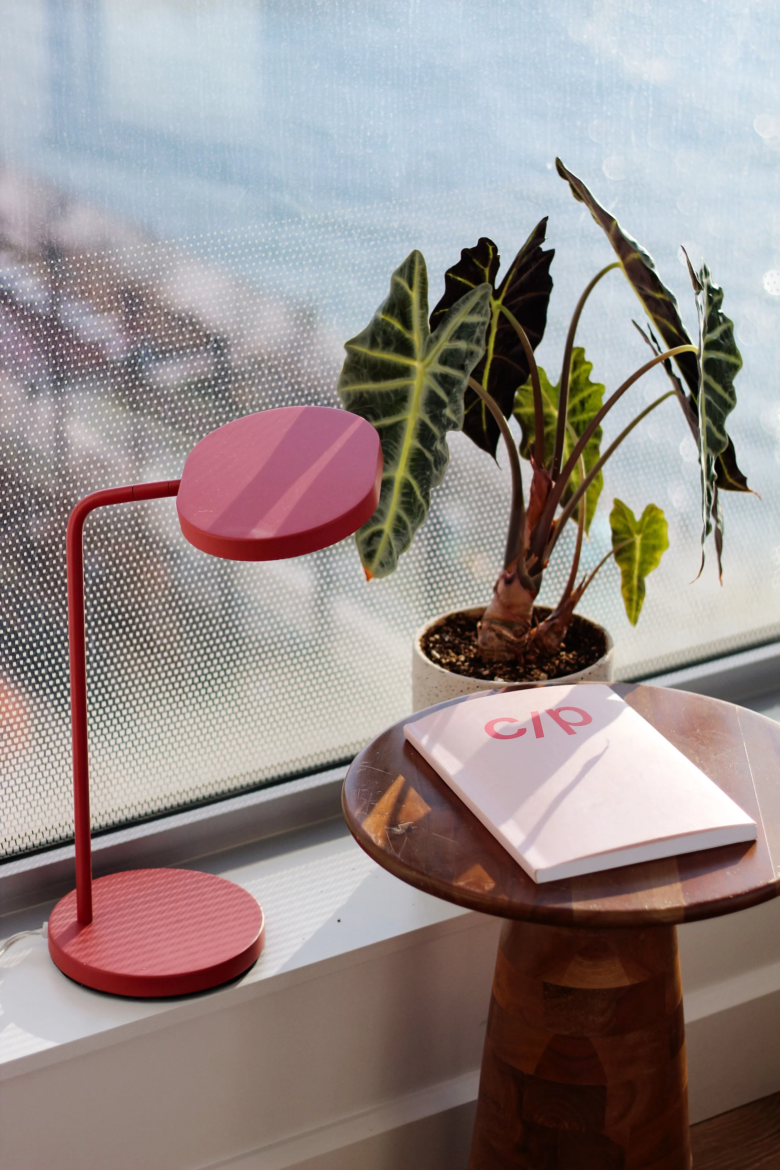 A pink modern table lamp, a potted leafy plant, and a closed book on a small round wooden table by a window with a dot-patterned screen.