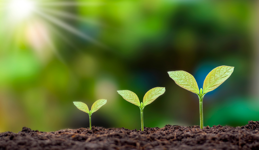 Build Your Next Chapter- Aligned Business Planning & Coaching