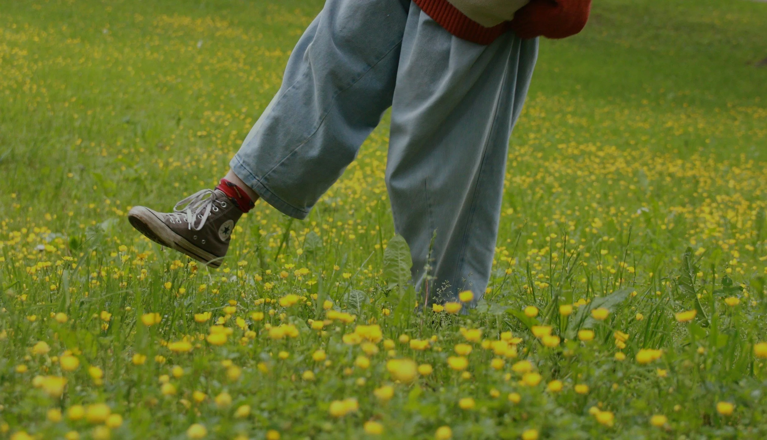 Person wearing gray baggy jeans, dark gray Converse sneakers, and red socks standing in a field of yellow flowers.