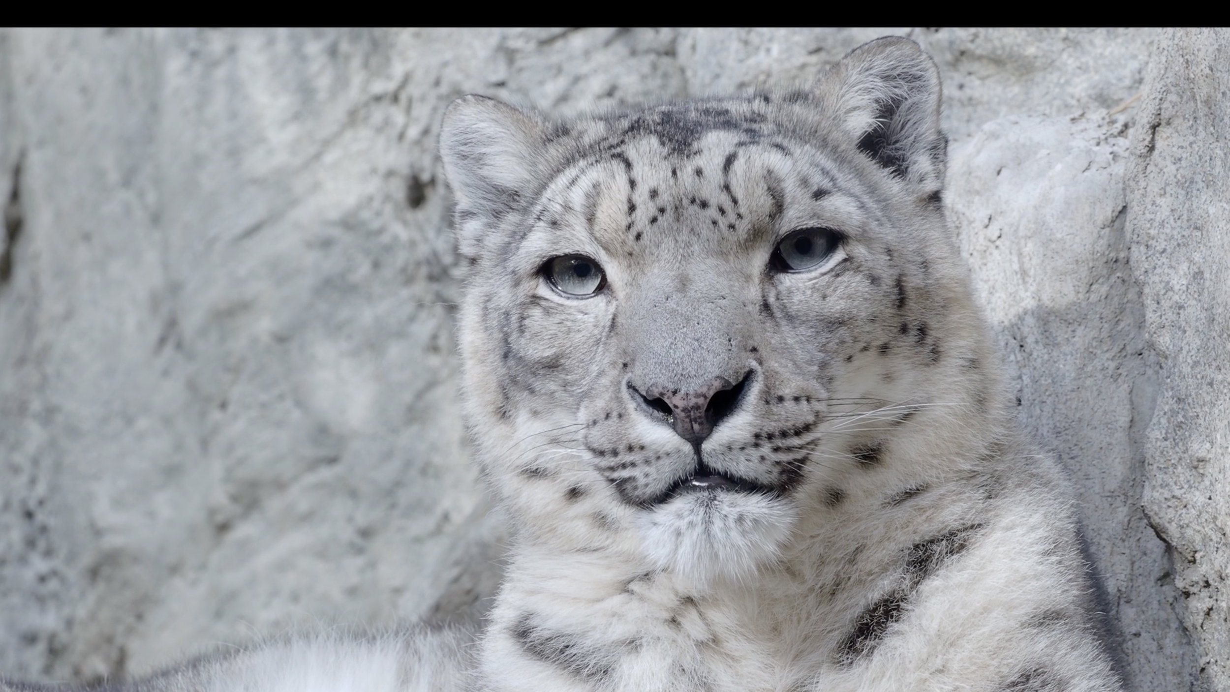 Careers Screenshot 2026-01-25 at 3.01.44 PM.png